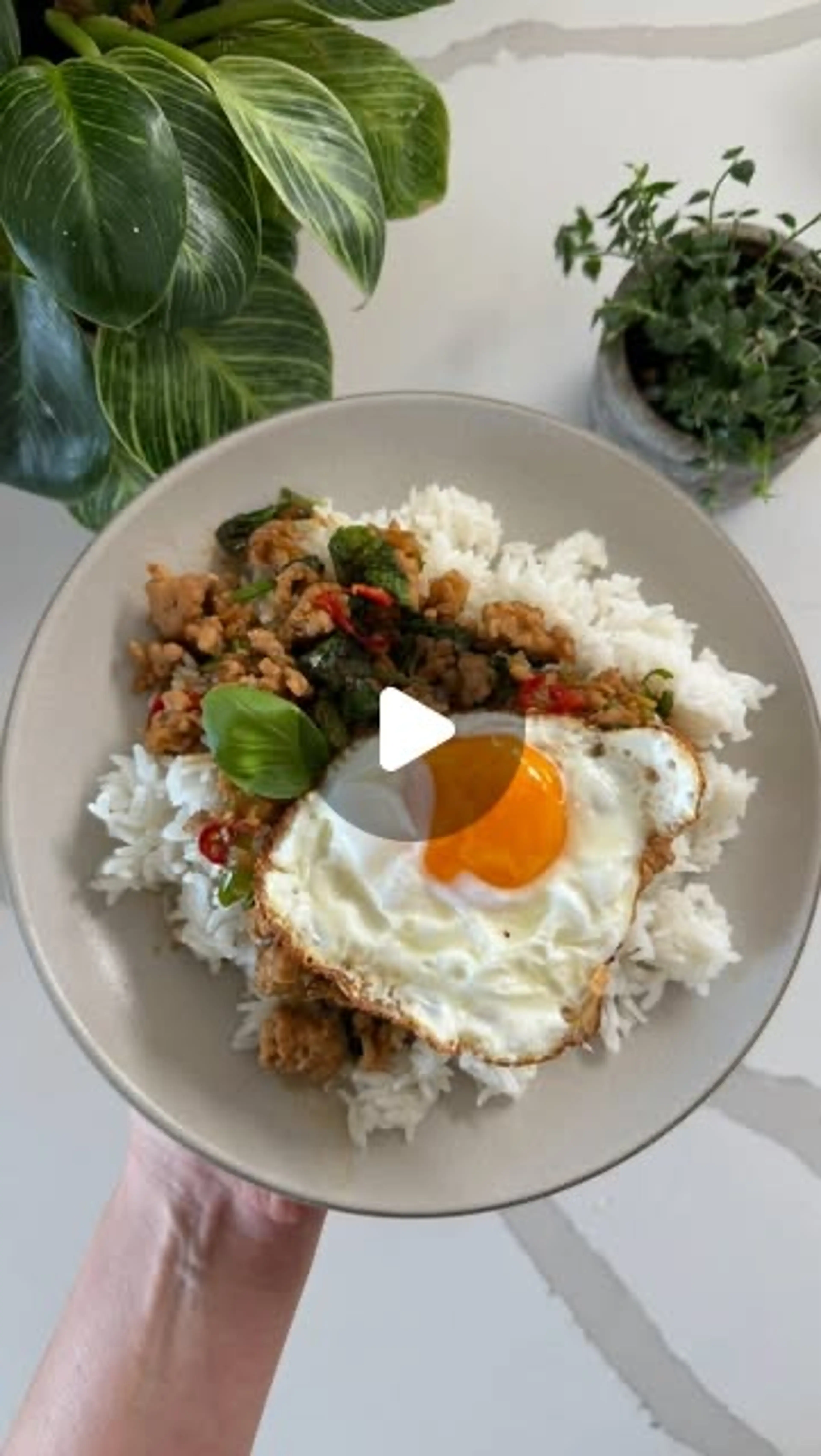 Thai Basil Chicken