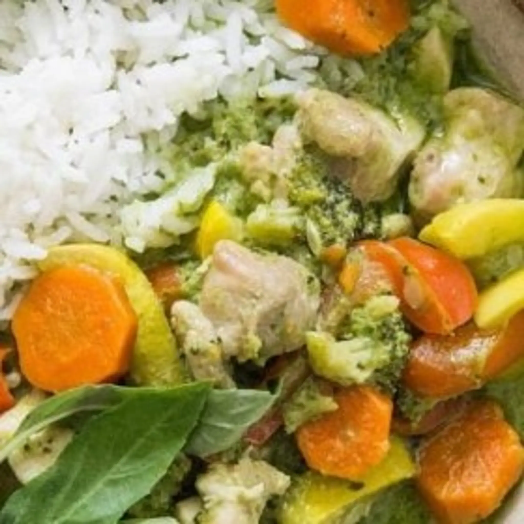 Pressure Cooker Thai Green Curry