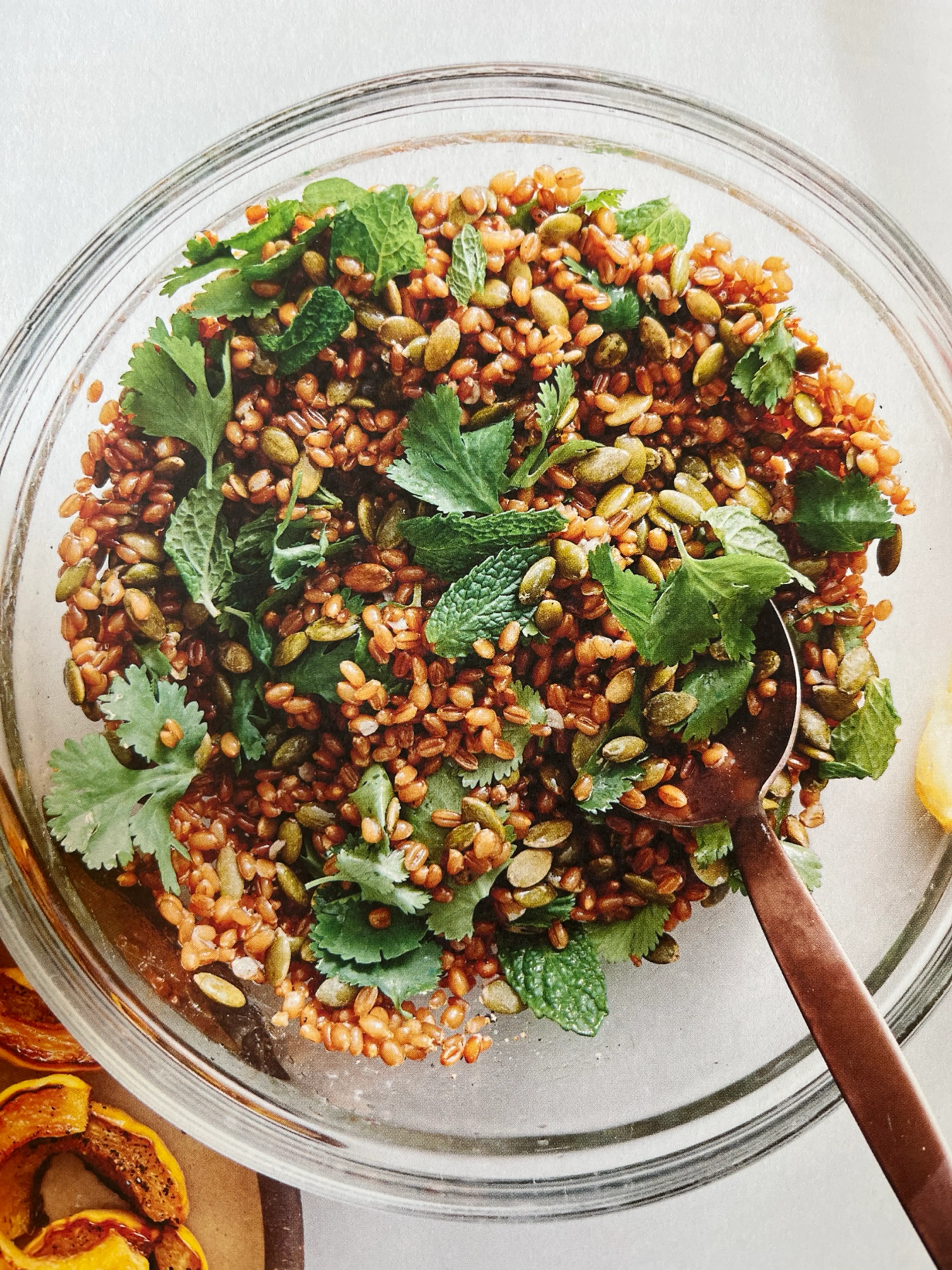 Roasted Delicata Squash with Wheat Berries and Romesco Sauce