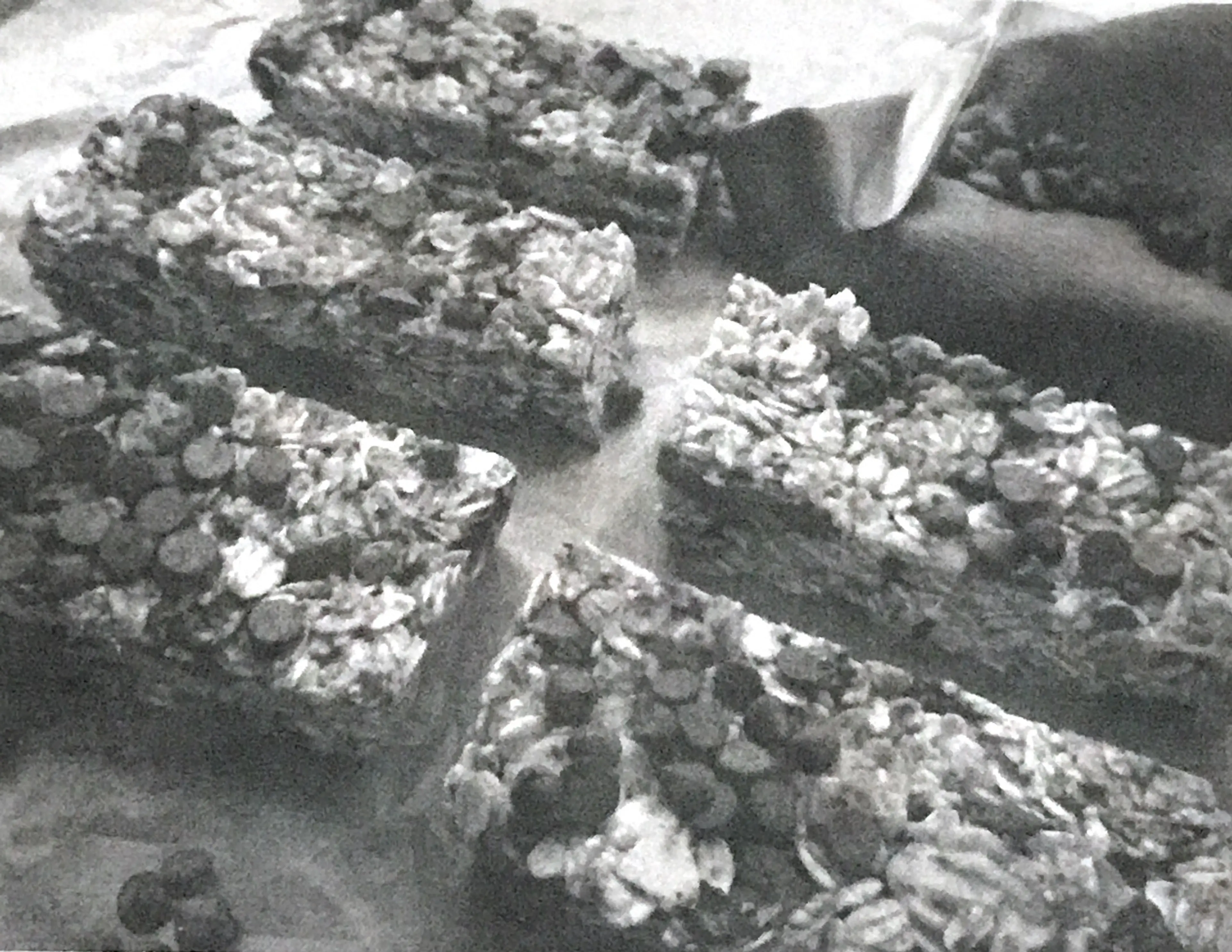 Dark Chocolate and Cherry Granola Bars