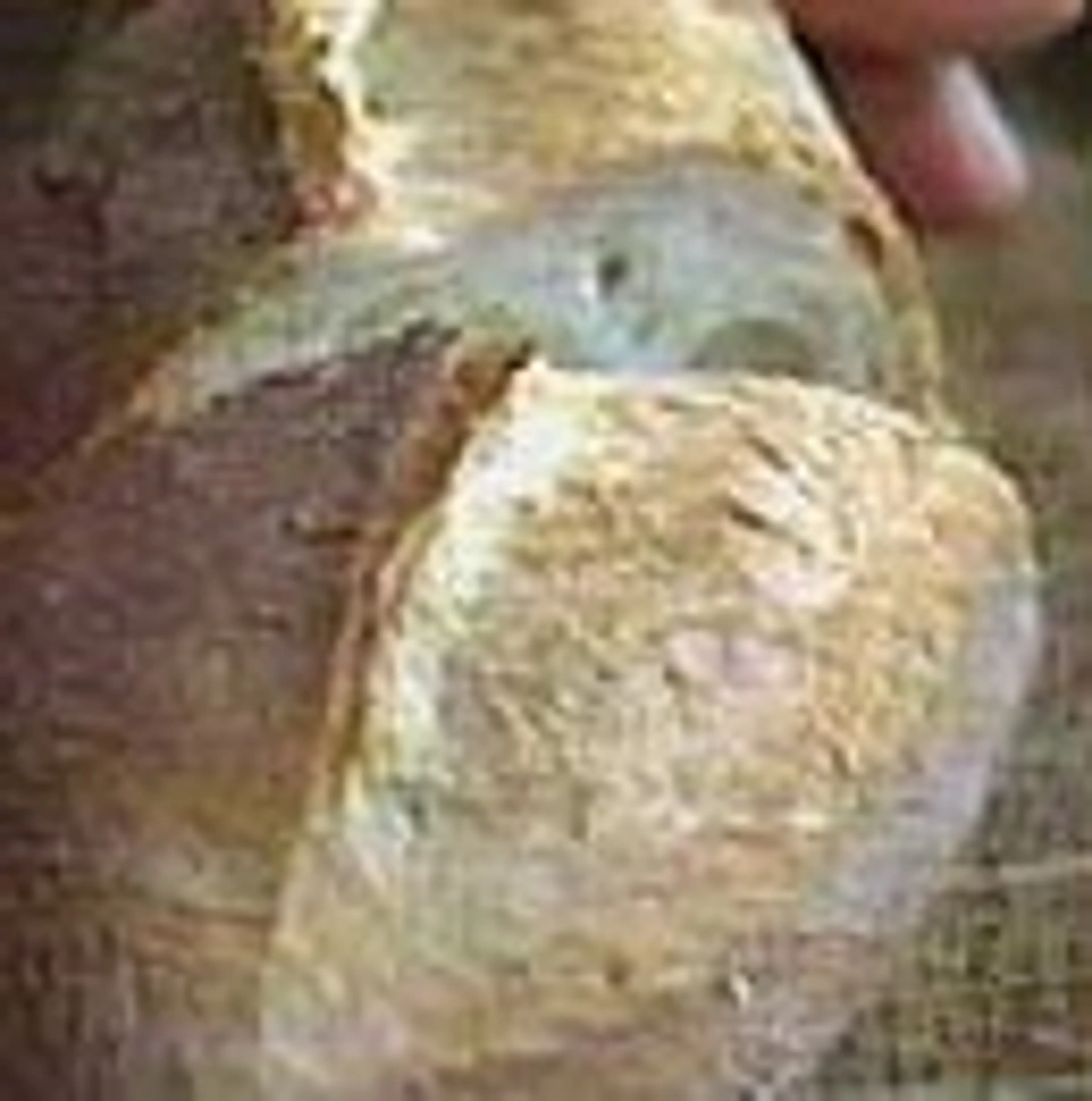 French Baguette