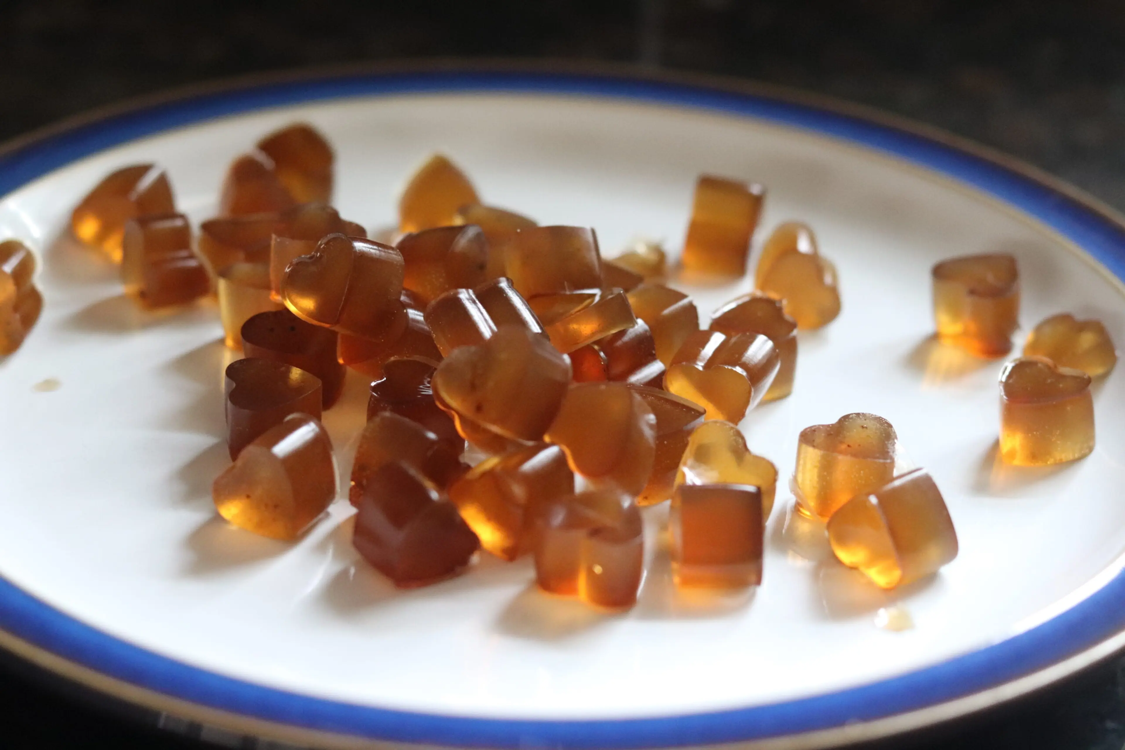 Baby and Toddler Gelatin Broth Bites