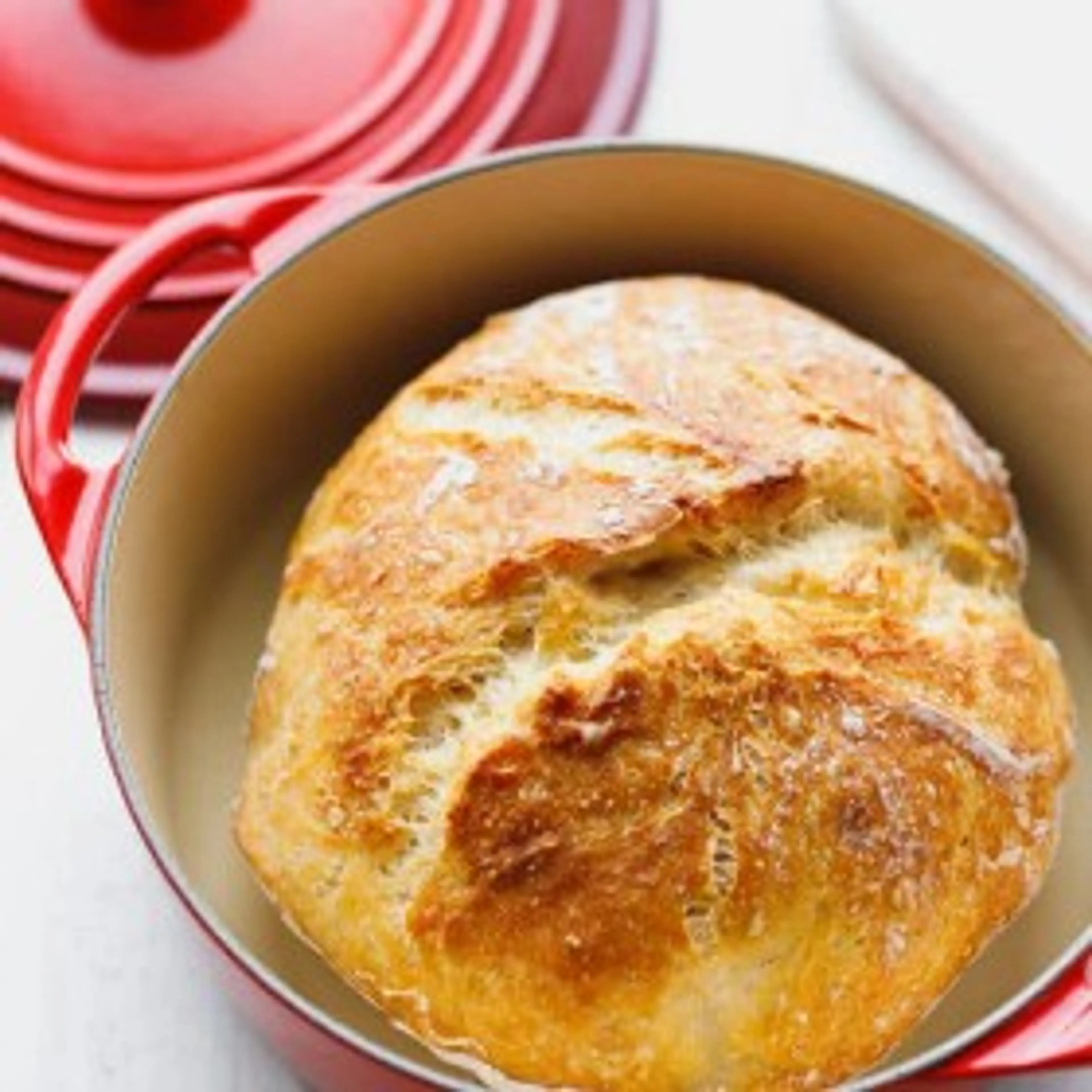 Crusty No Knead Dutch Oven Bread