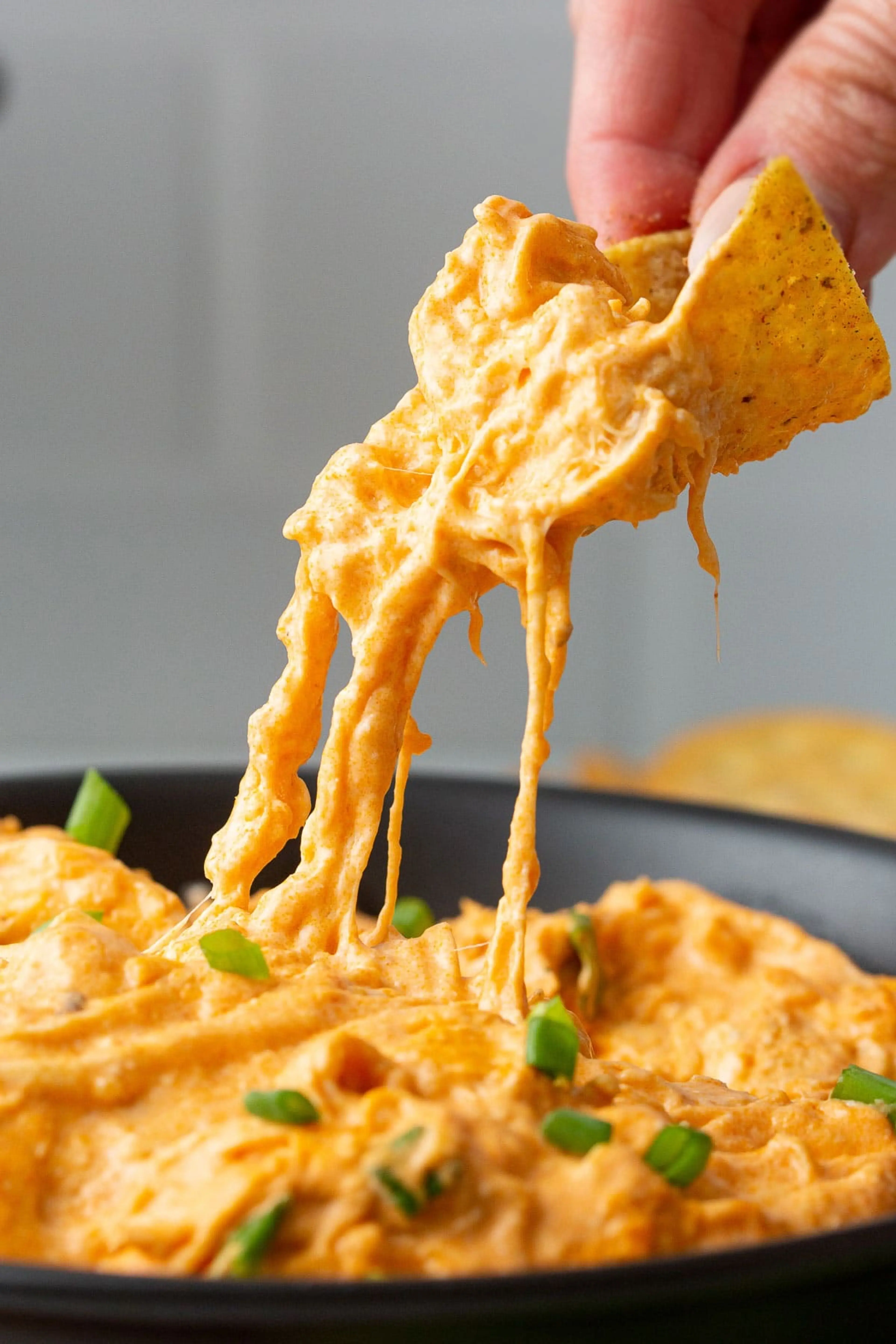 Buffalo Chicken Dip