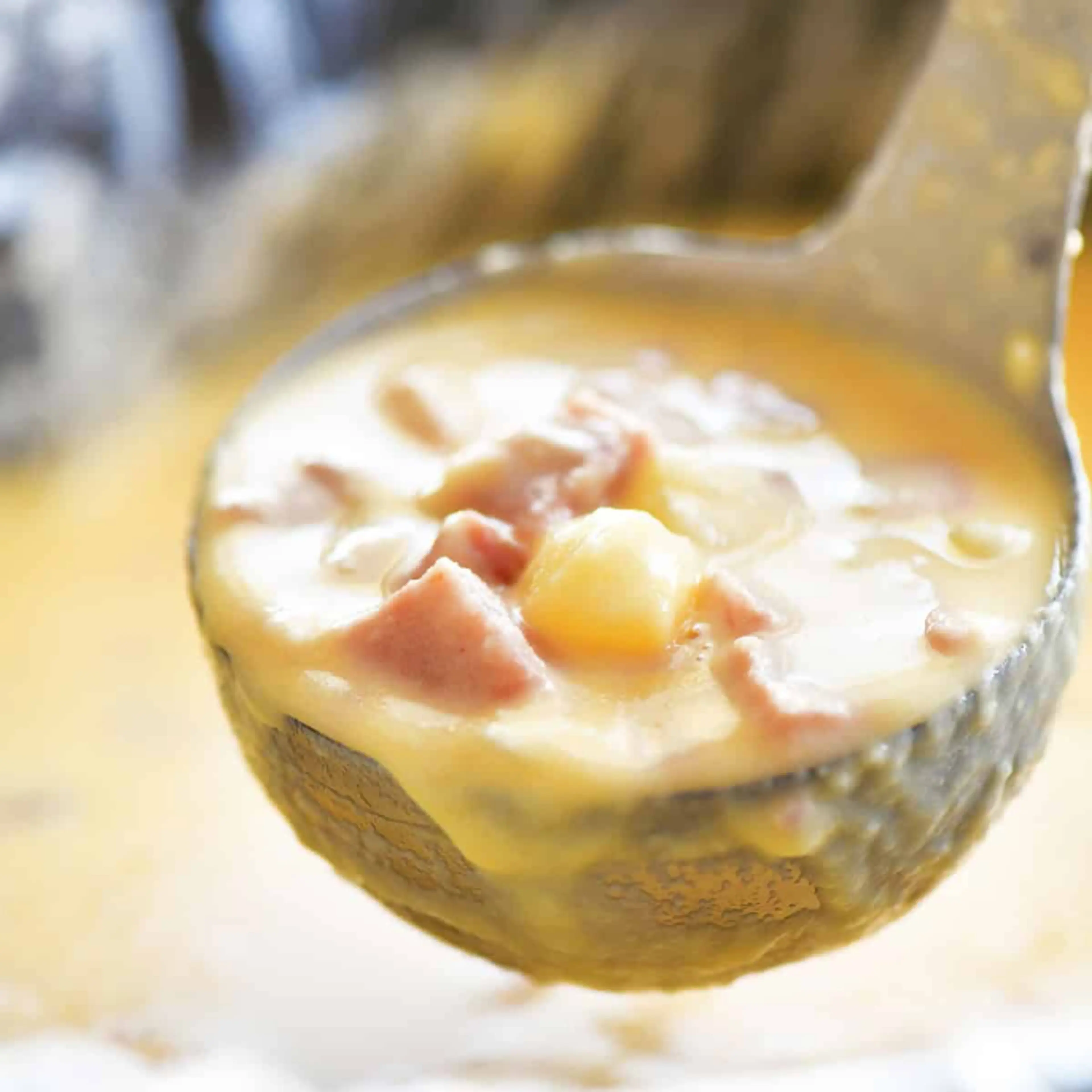 Slow Cooker Ham and Cheese Soup