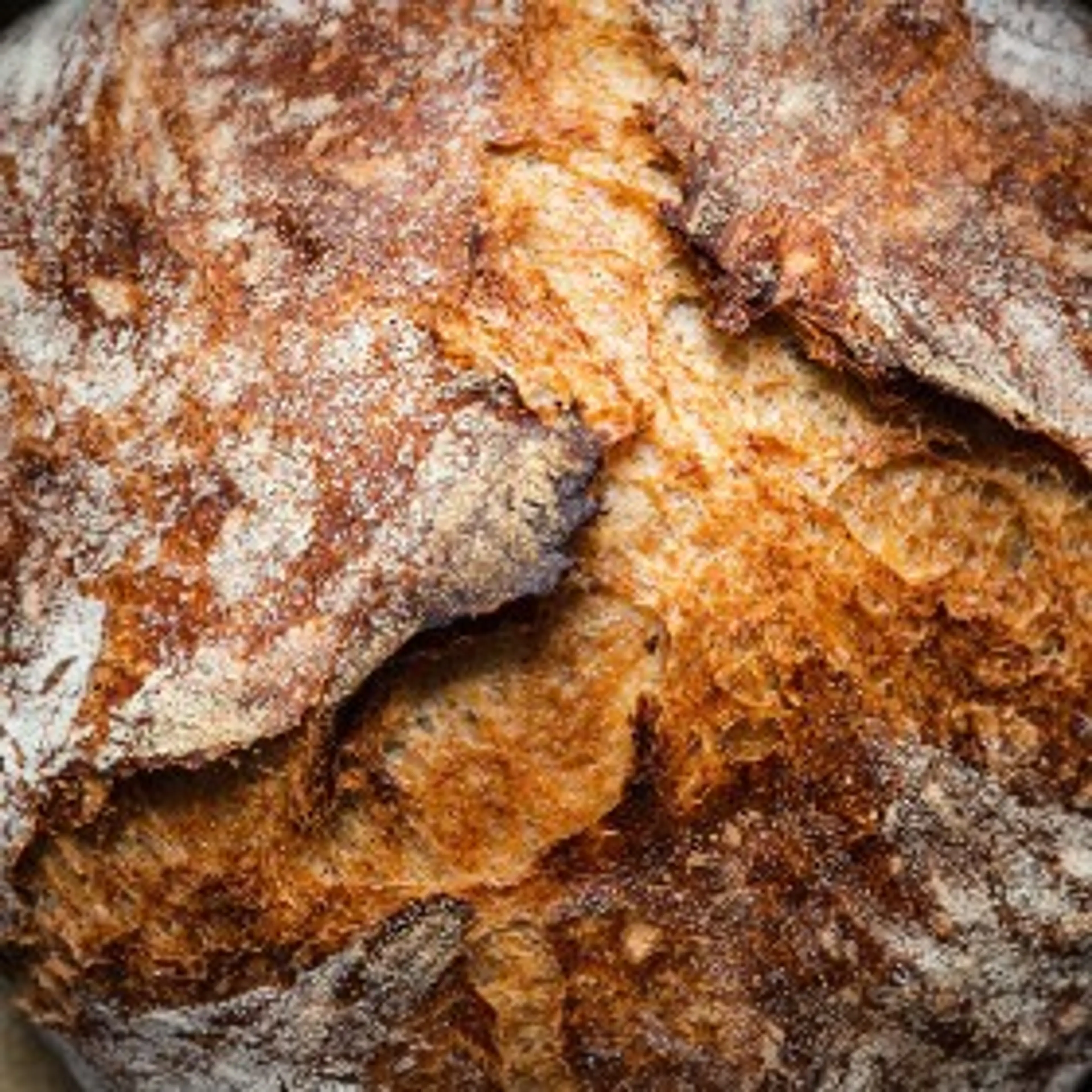 Easy Homemade Rye Bread