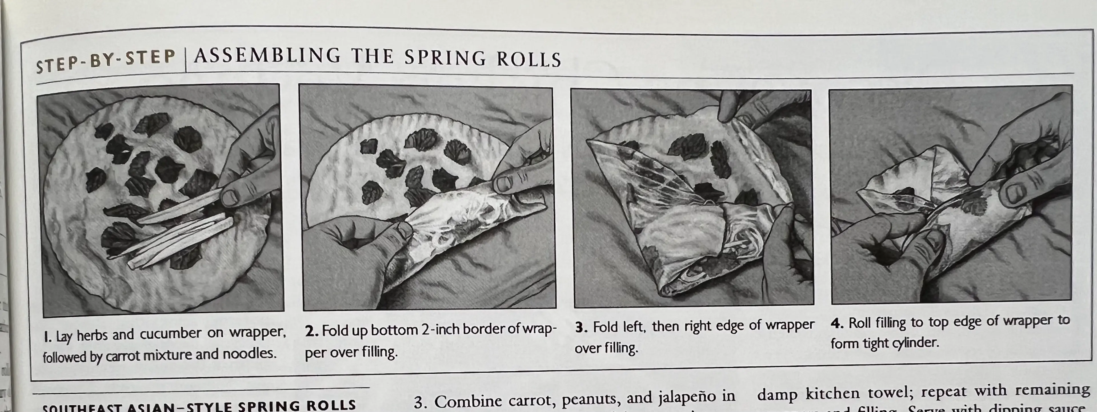 Southeast Asian Style Spring Rolls (ATK)