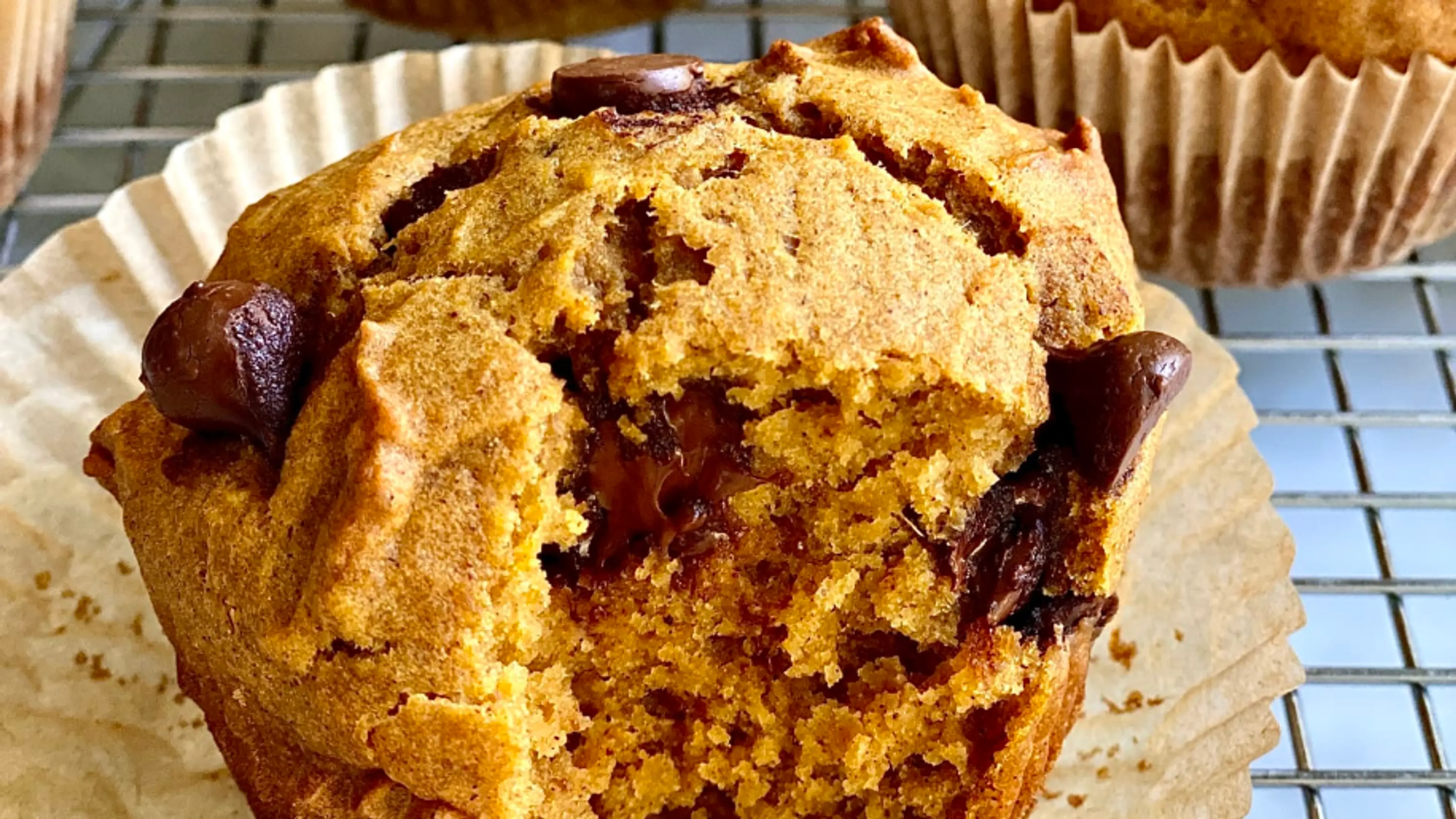 One-Bowl Pumpkin Chocolate Chip Muffins
