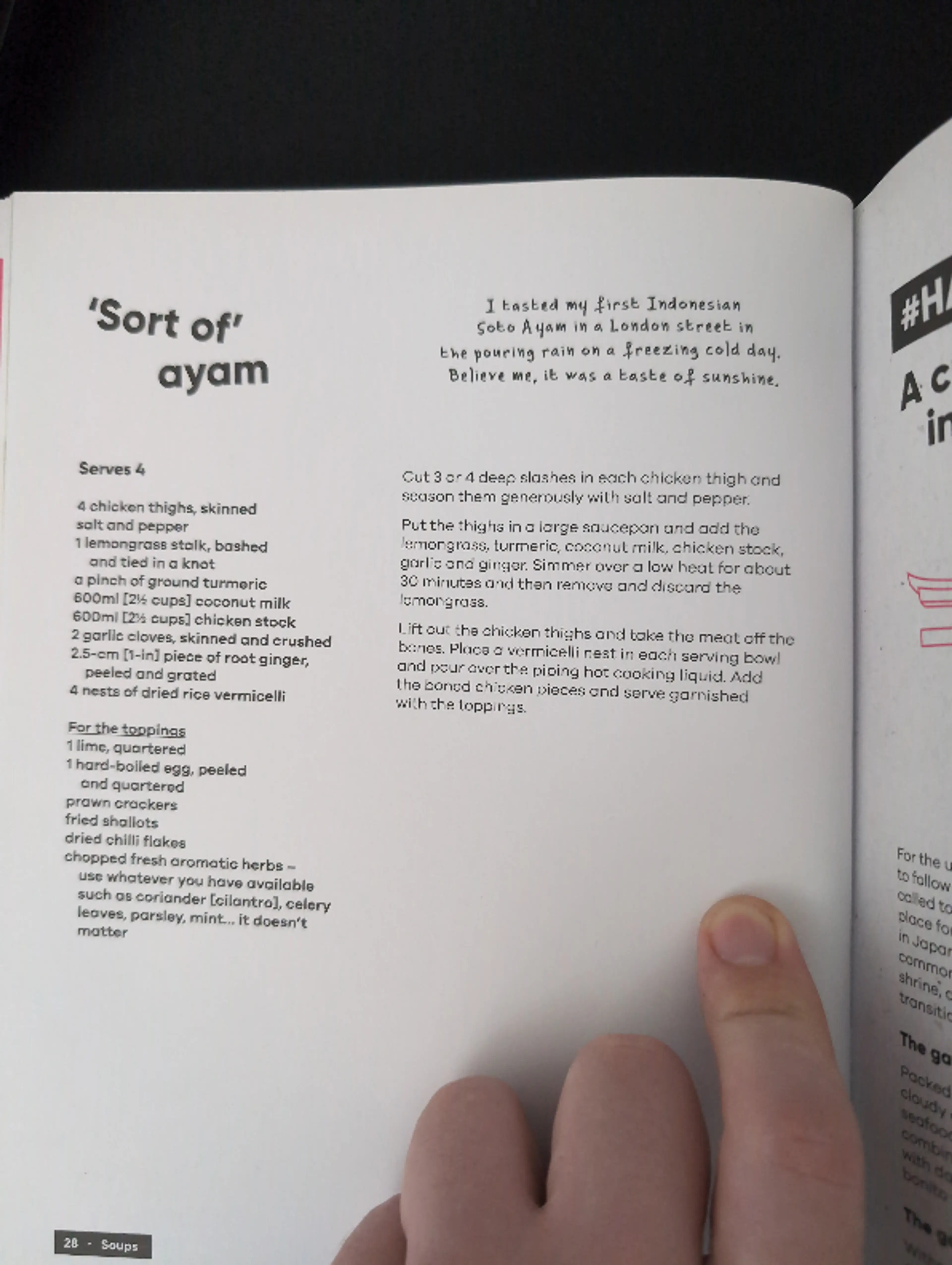 "Sort of" Ayam
