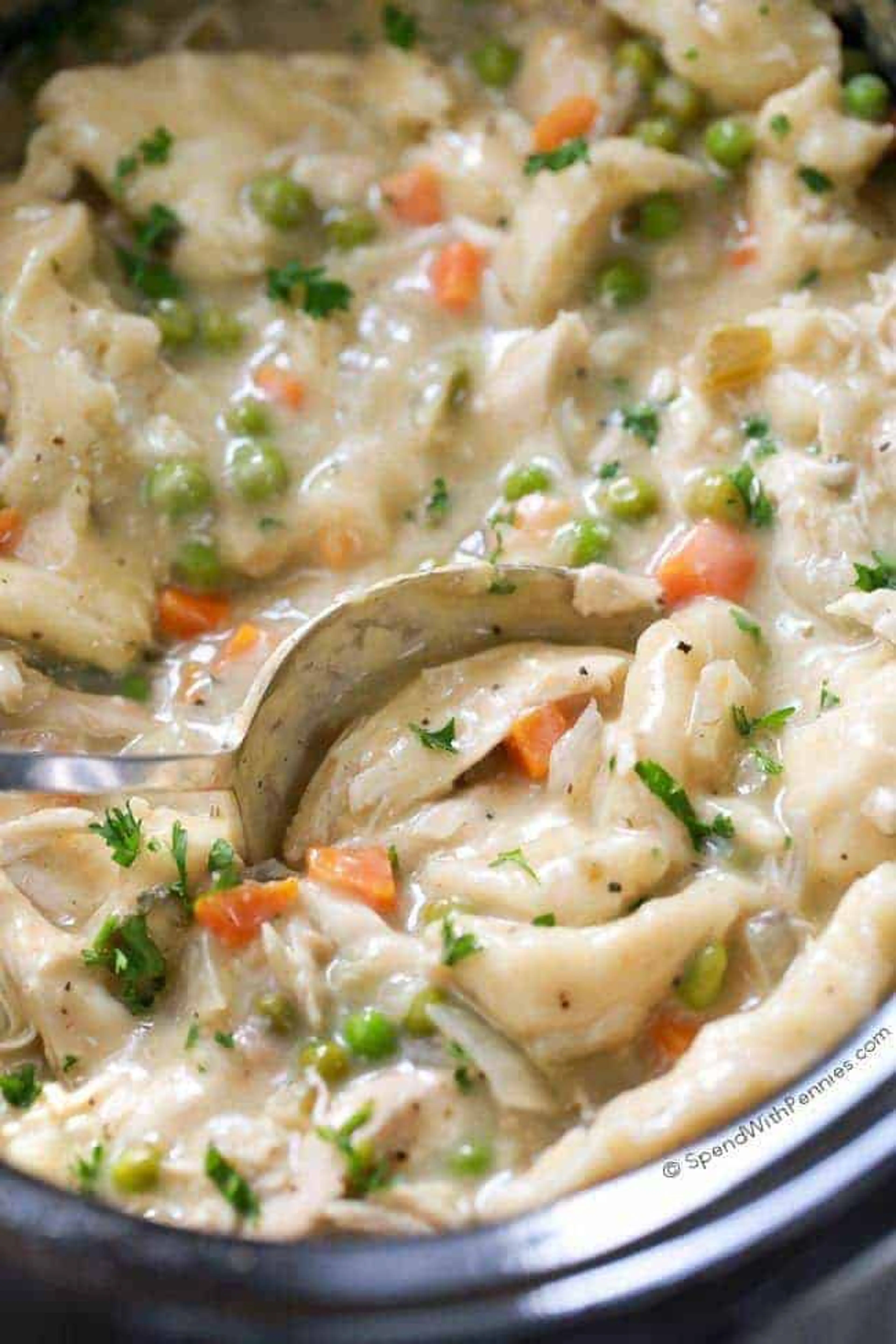 Crock Pot Chicken and Dumplings