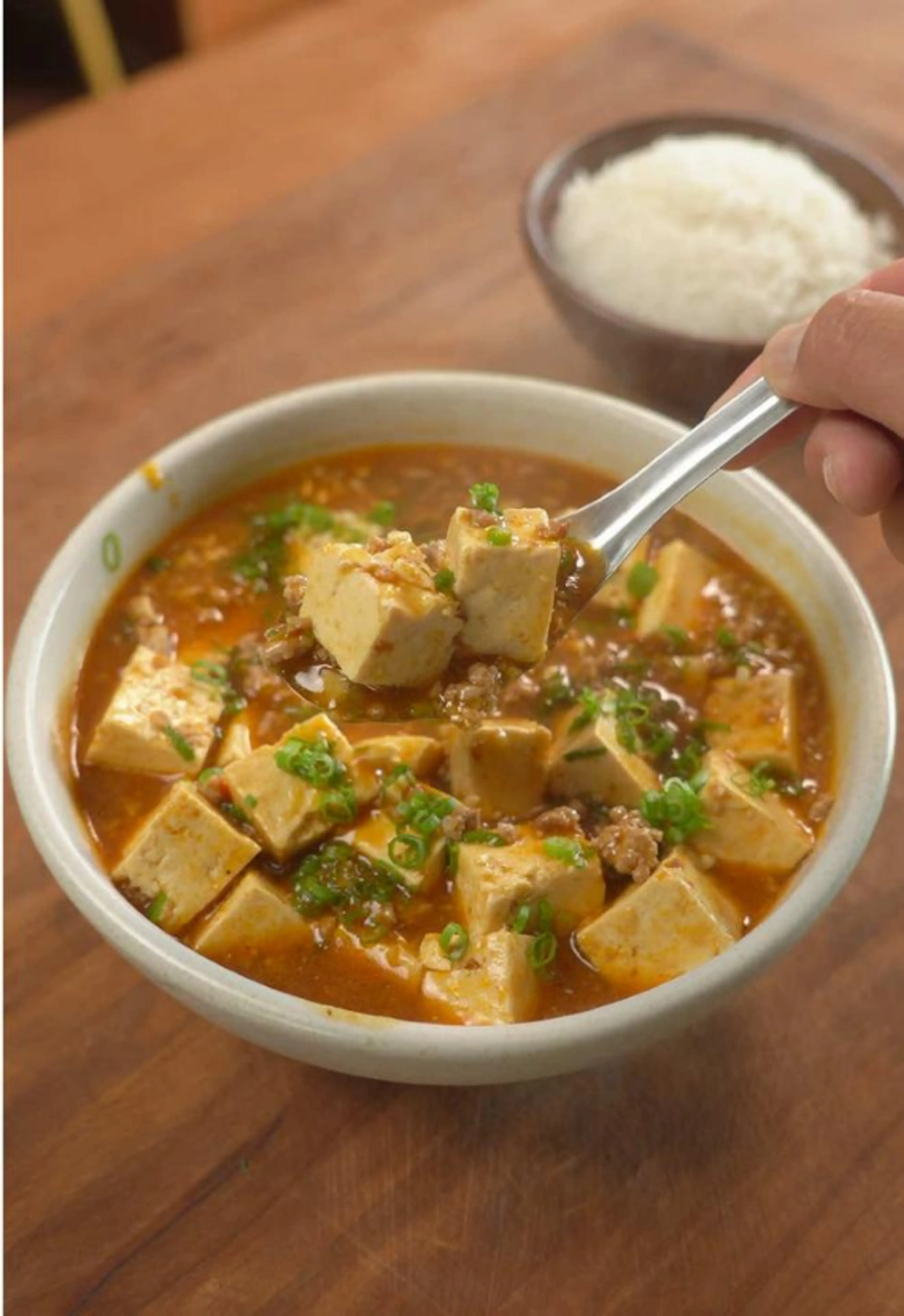 Mapo Tofu