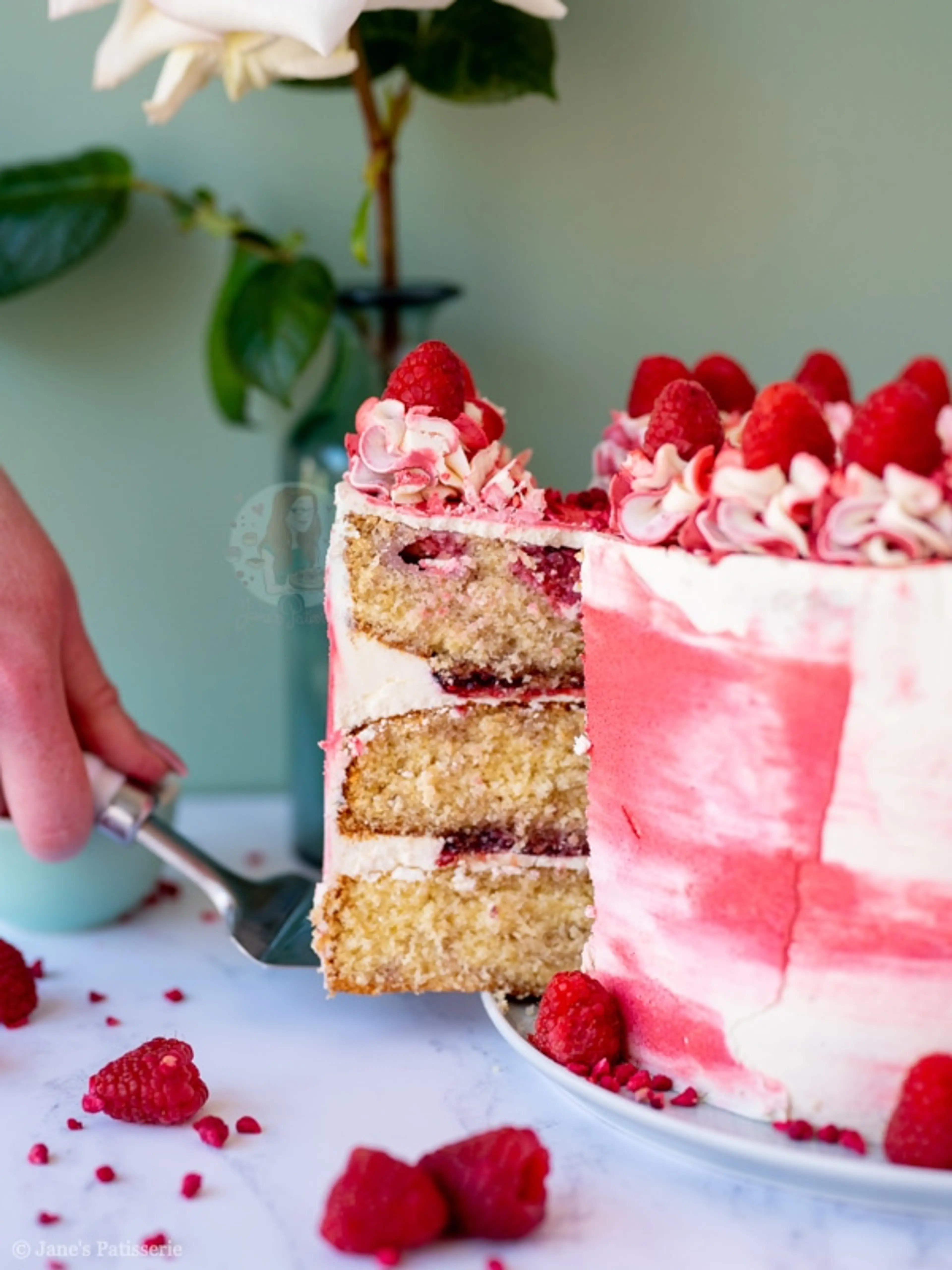 Raspberry Ripple Cake!