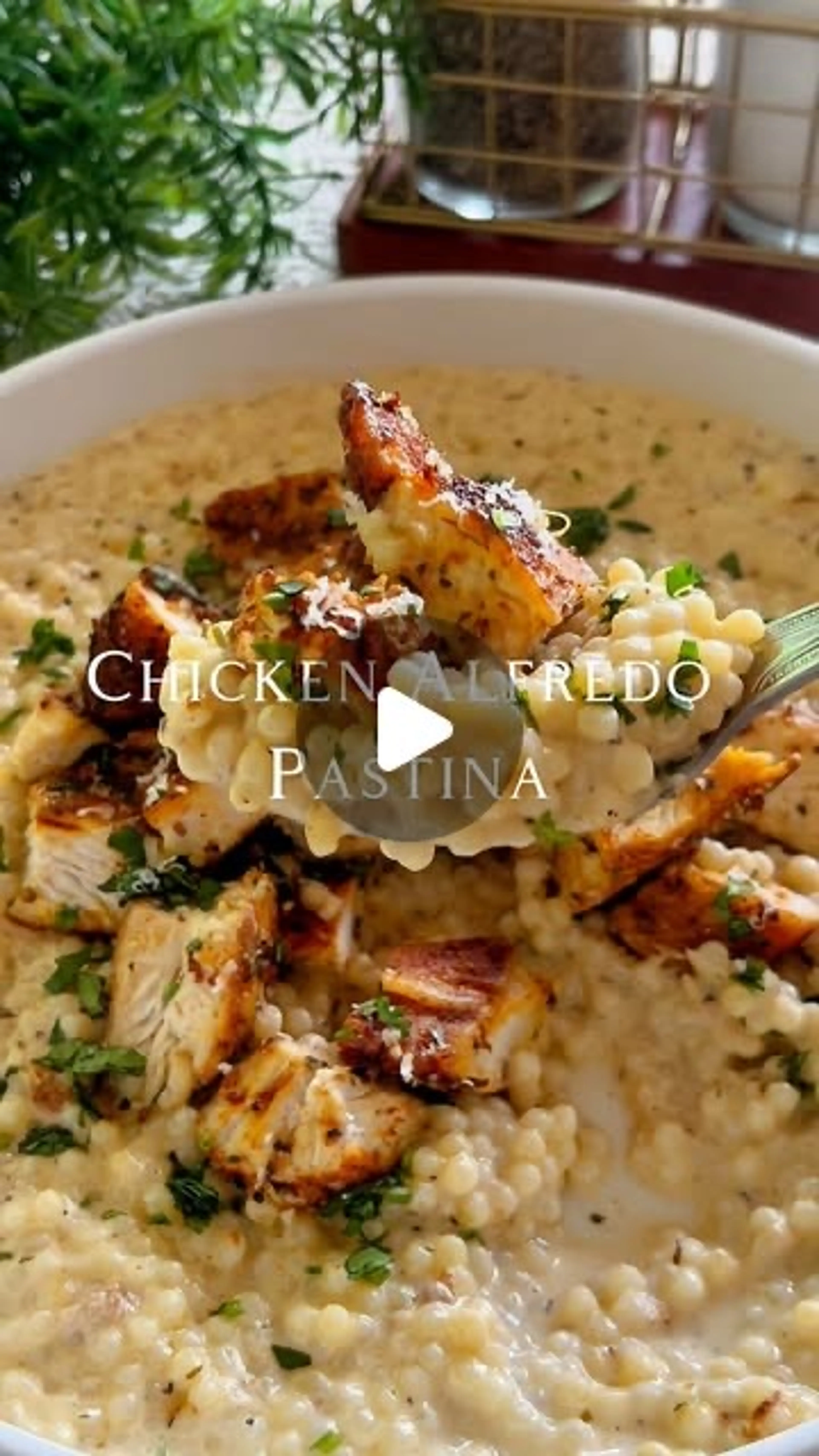 Chicken Alfredo Pastini