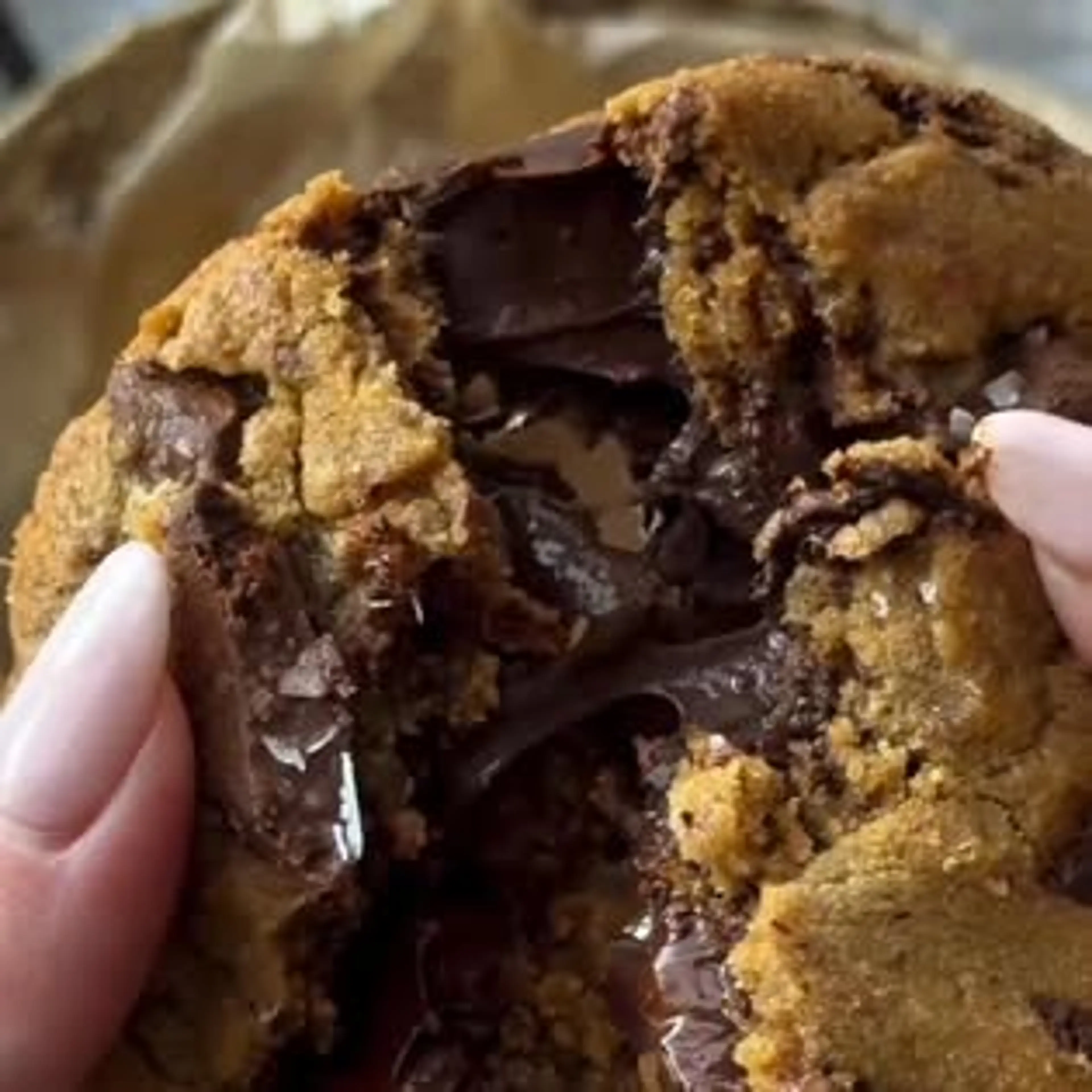 Hazelnut Cookie Sandwich