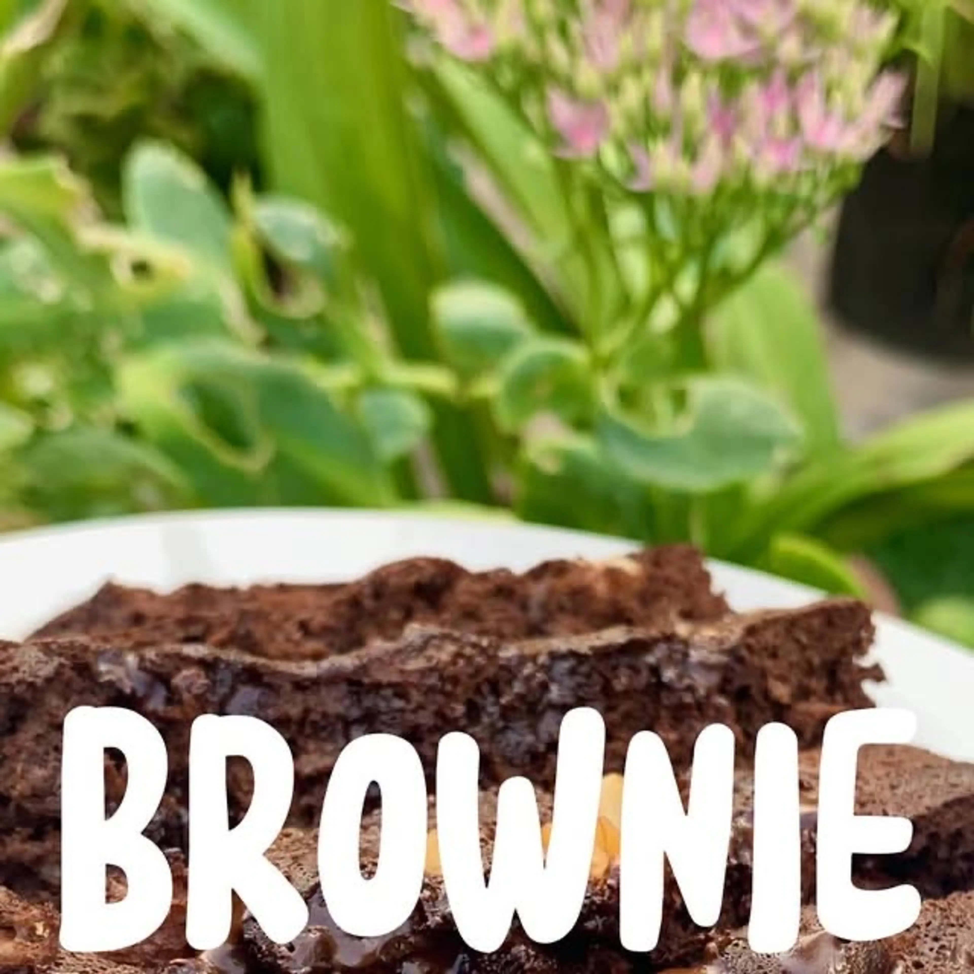 Brownie En Microondas