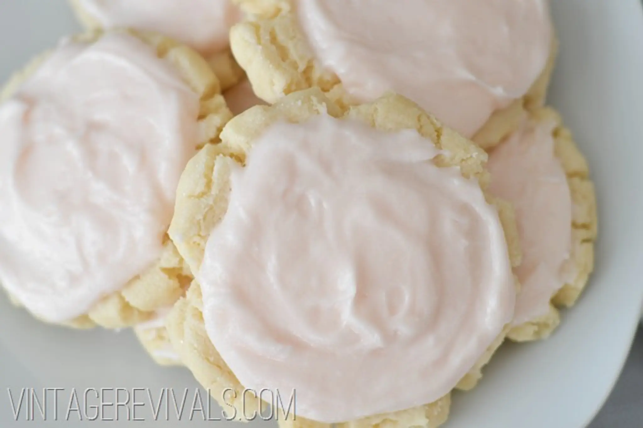 Swig Sugar Cookie
