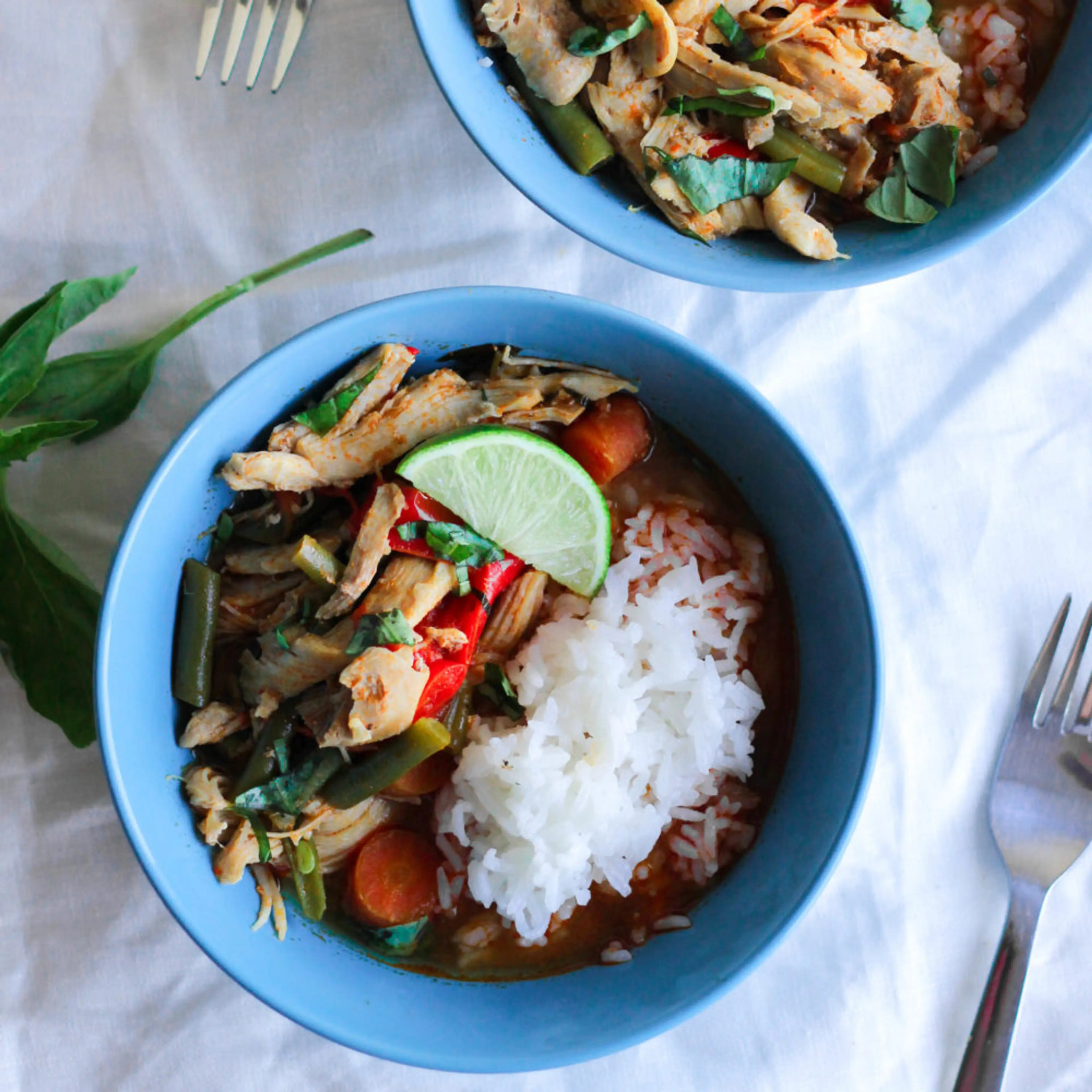 Slow Cooker or Instant Pot Coconut Chicken Curry (Paleo, Who