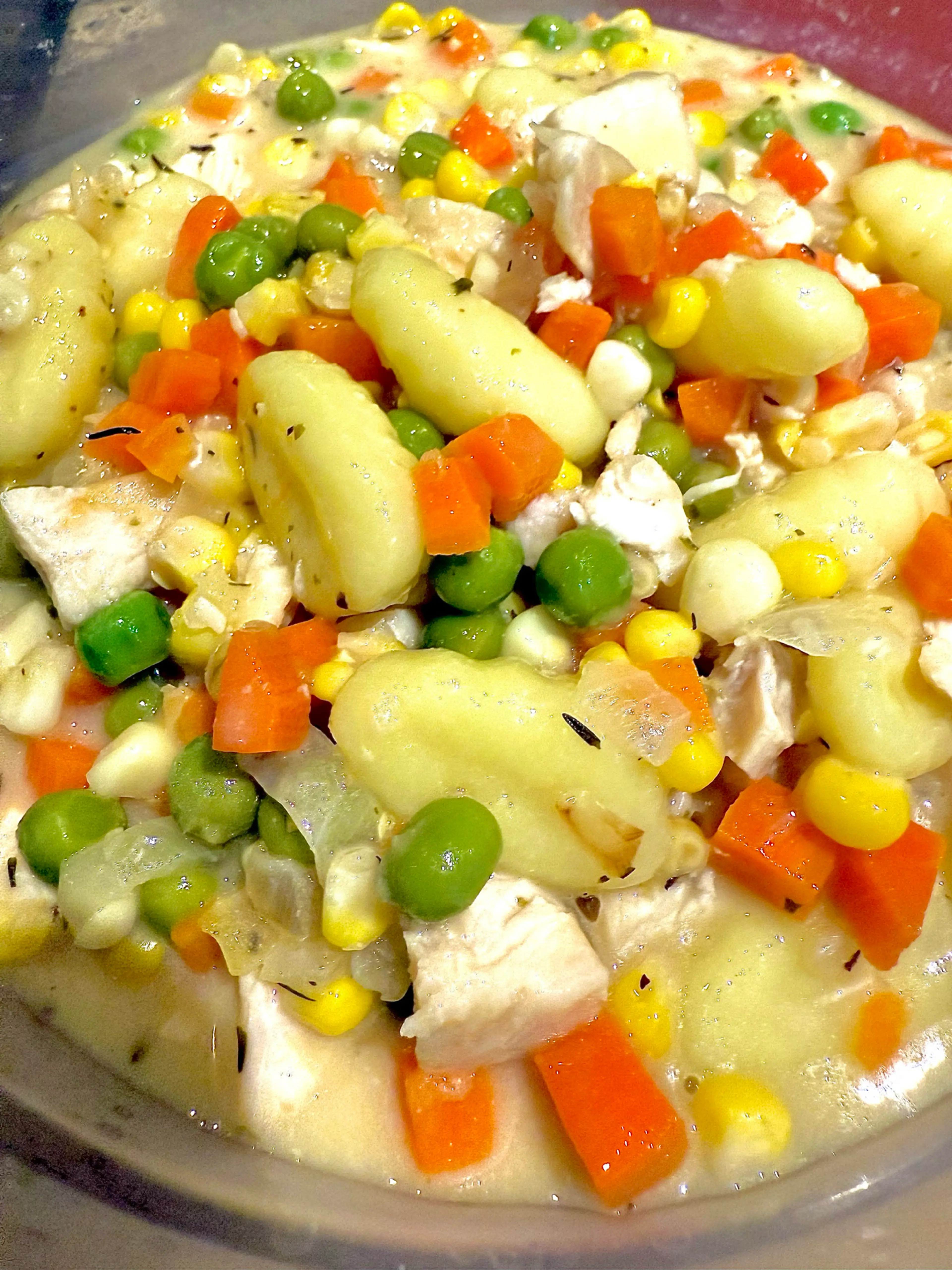 Chicken & Gnocchi Dumpling Stew