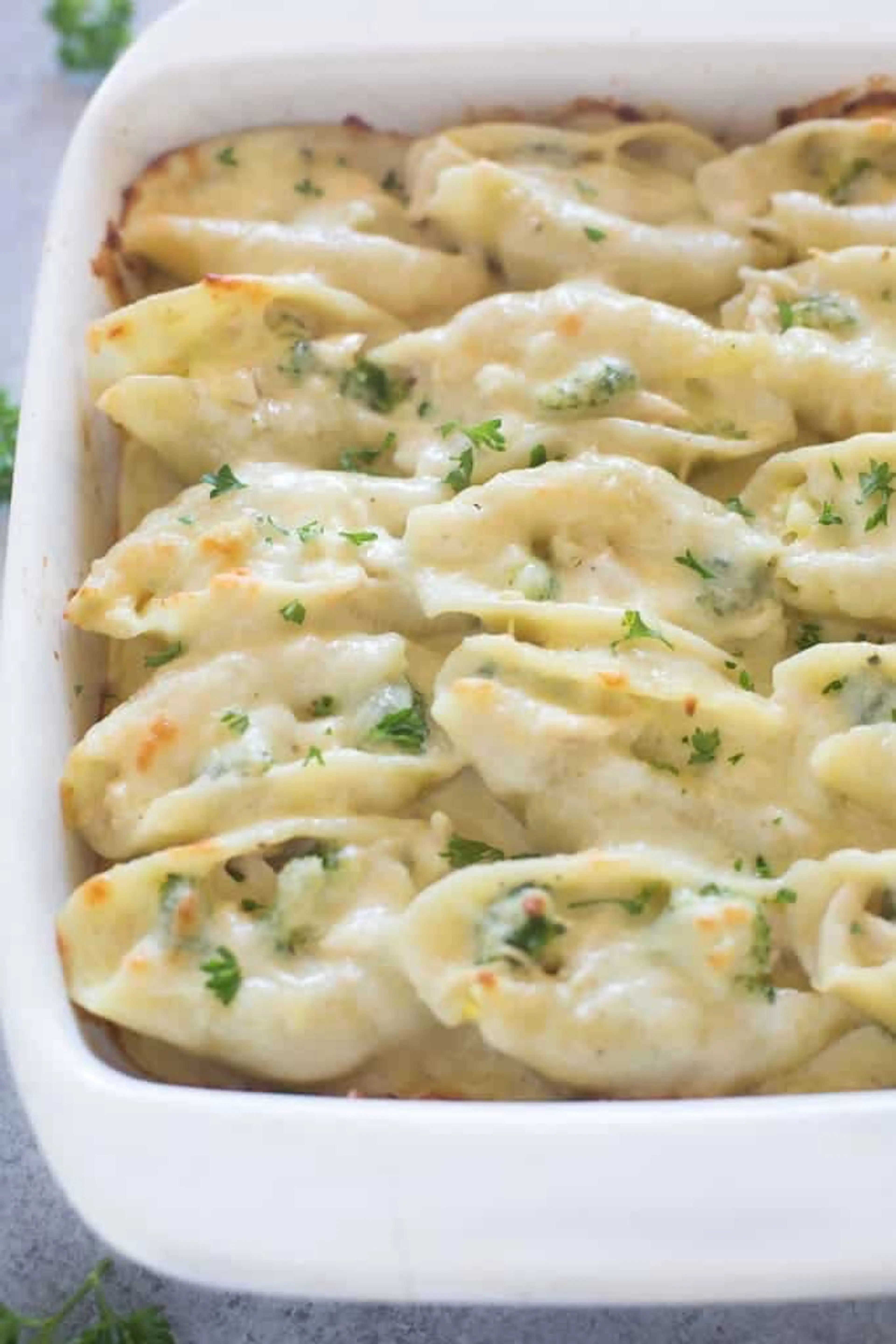 Chicken Alfredo Stuffed Shells
