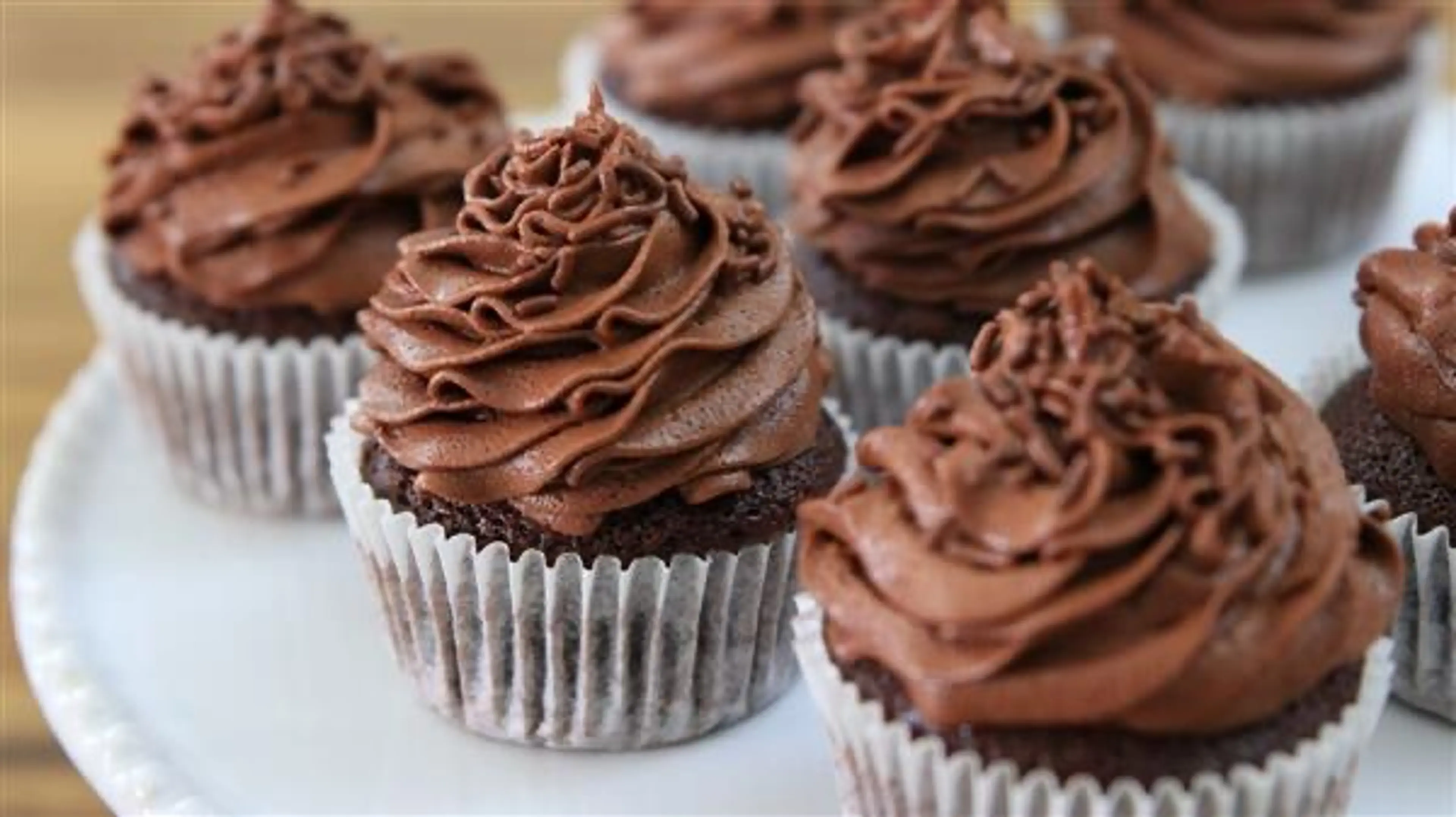 Chocolate Cupcakes