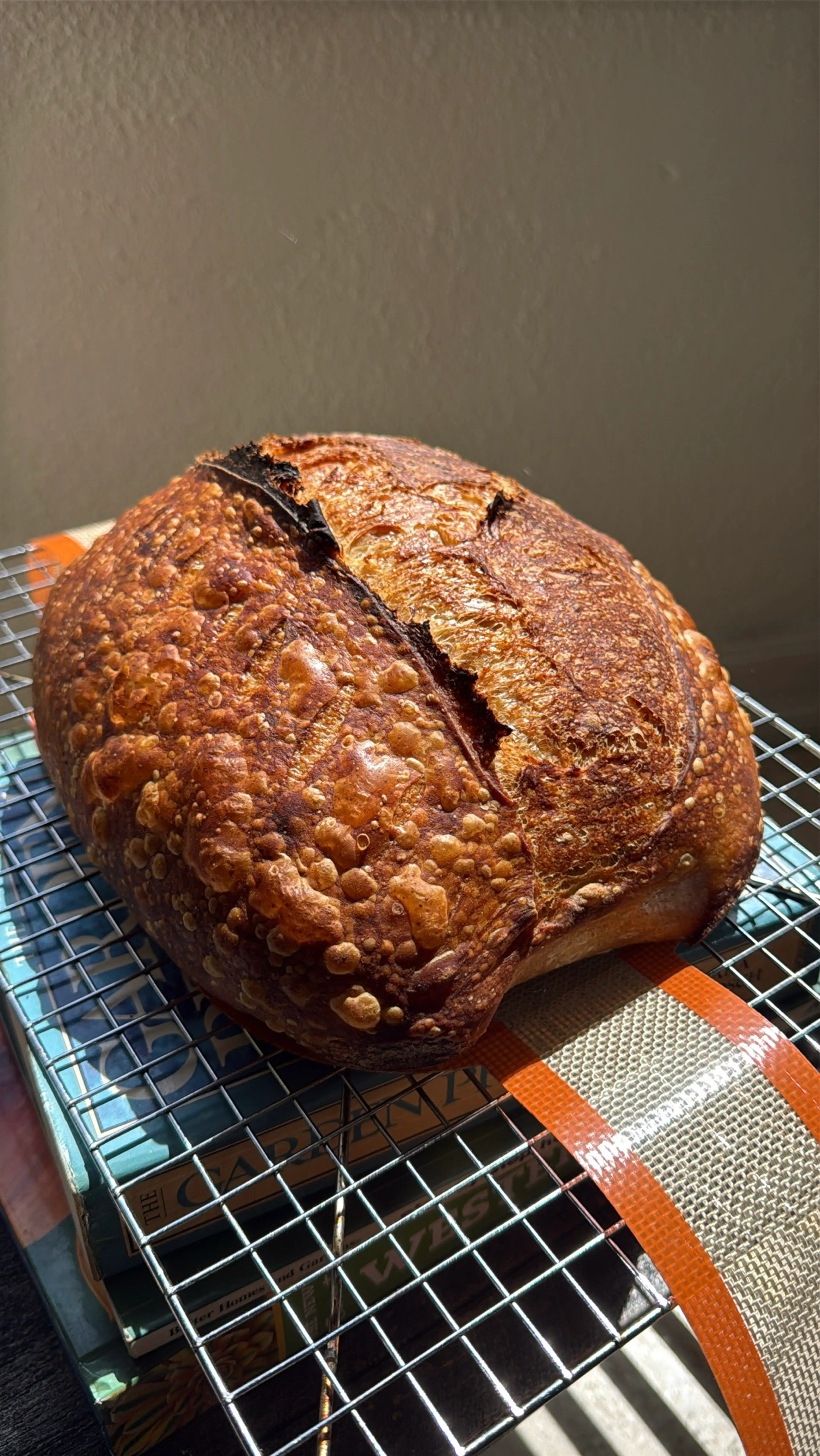House Loaf - Sourdough Bread (76% hydration)