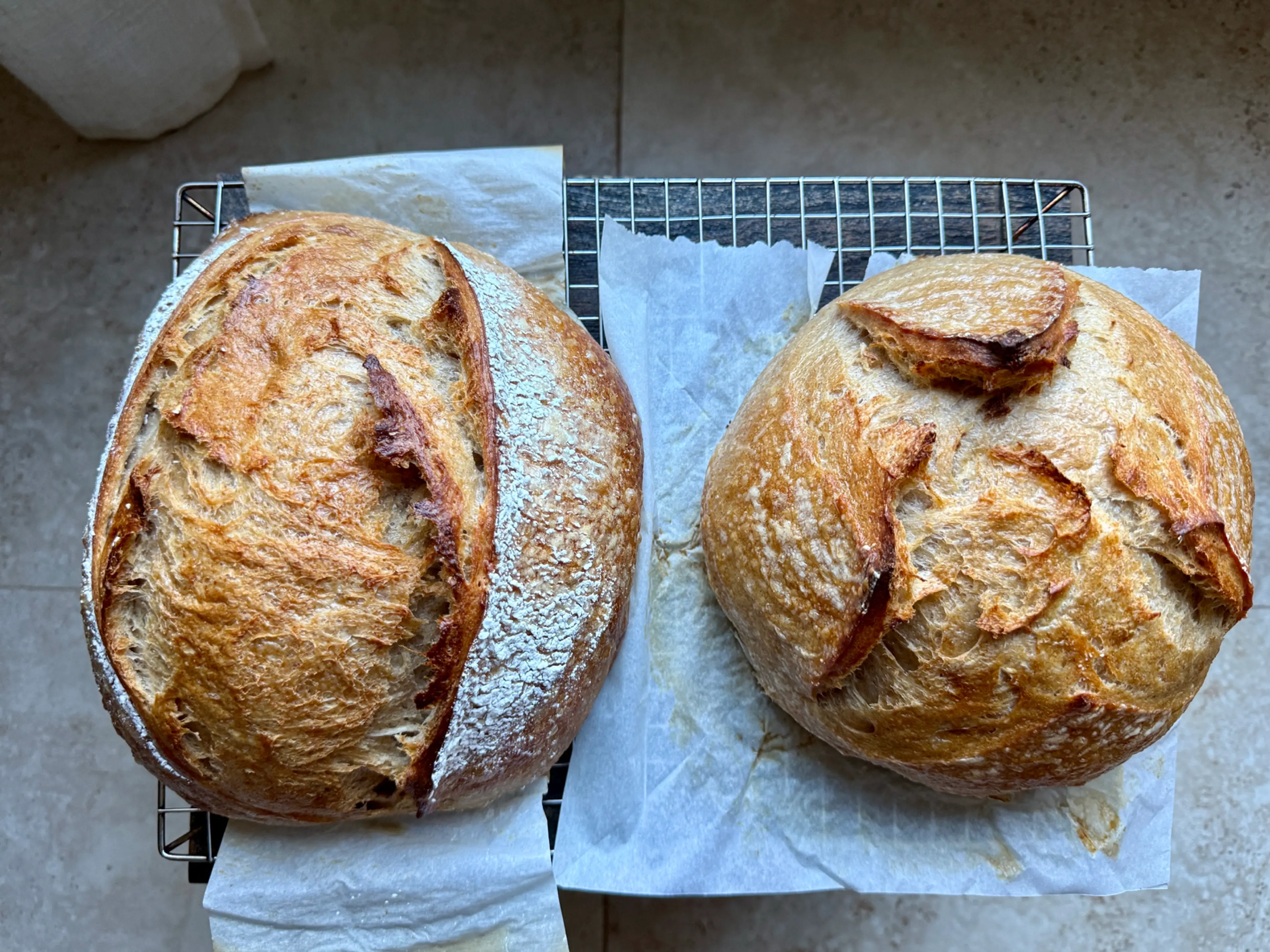 House Loaf - Sourdough Bread (76% hydration)