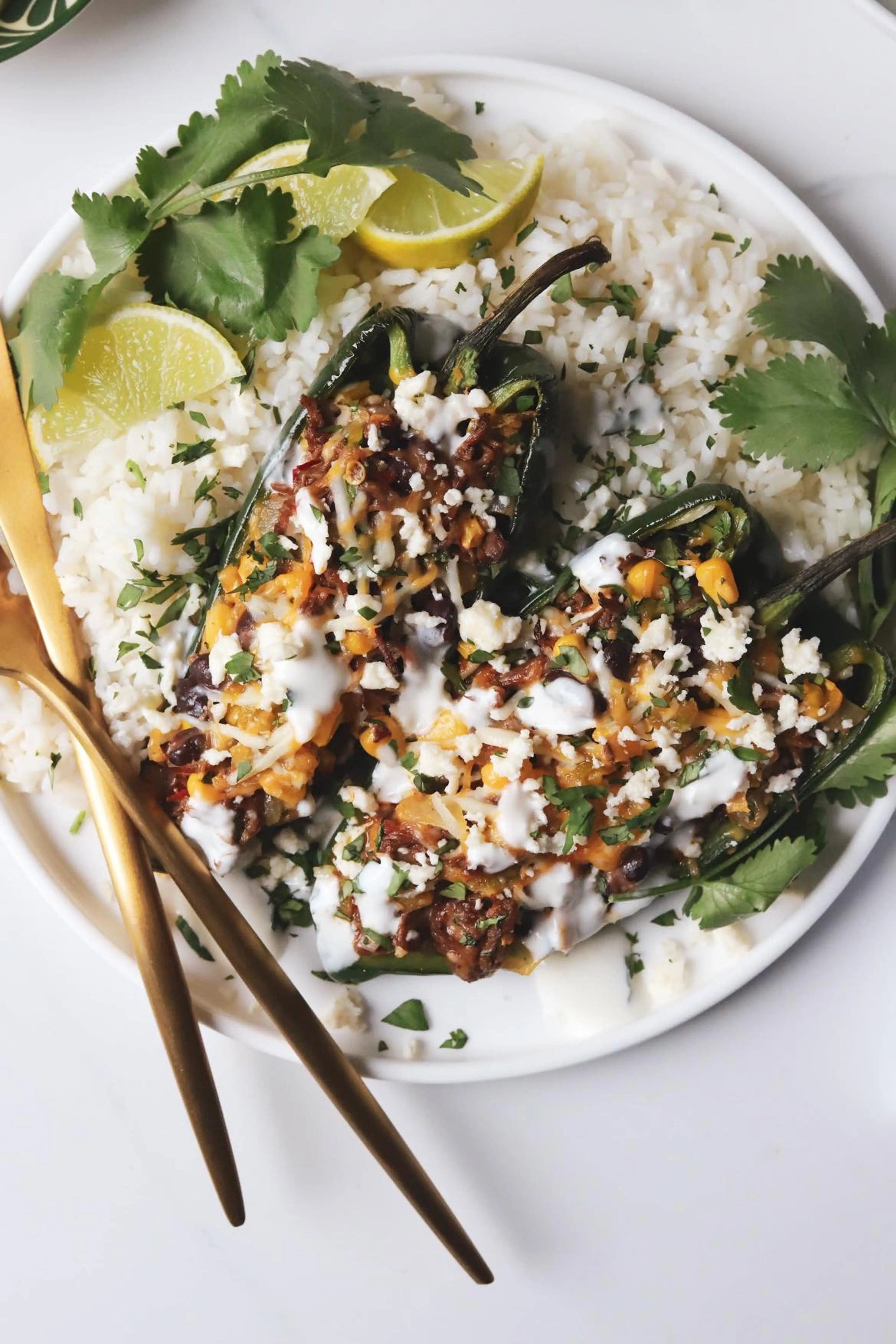 Barbacoa & Black Bean Stuffed Poblano Peppers