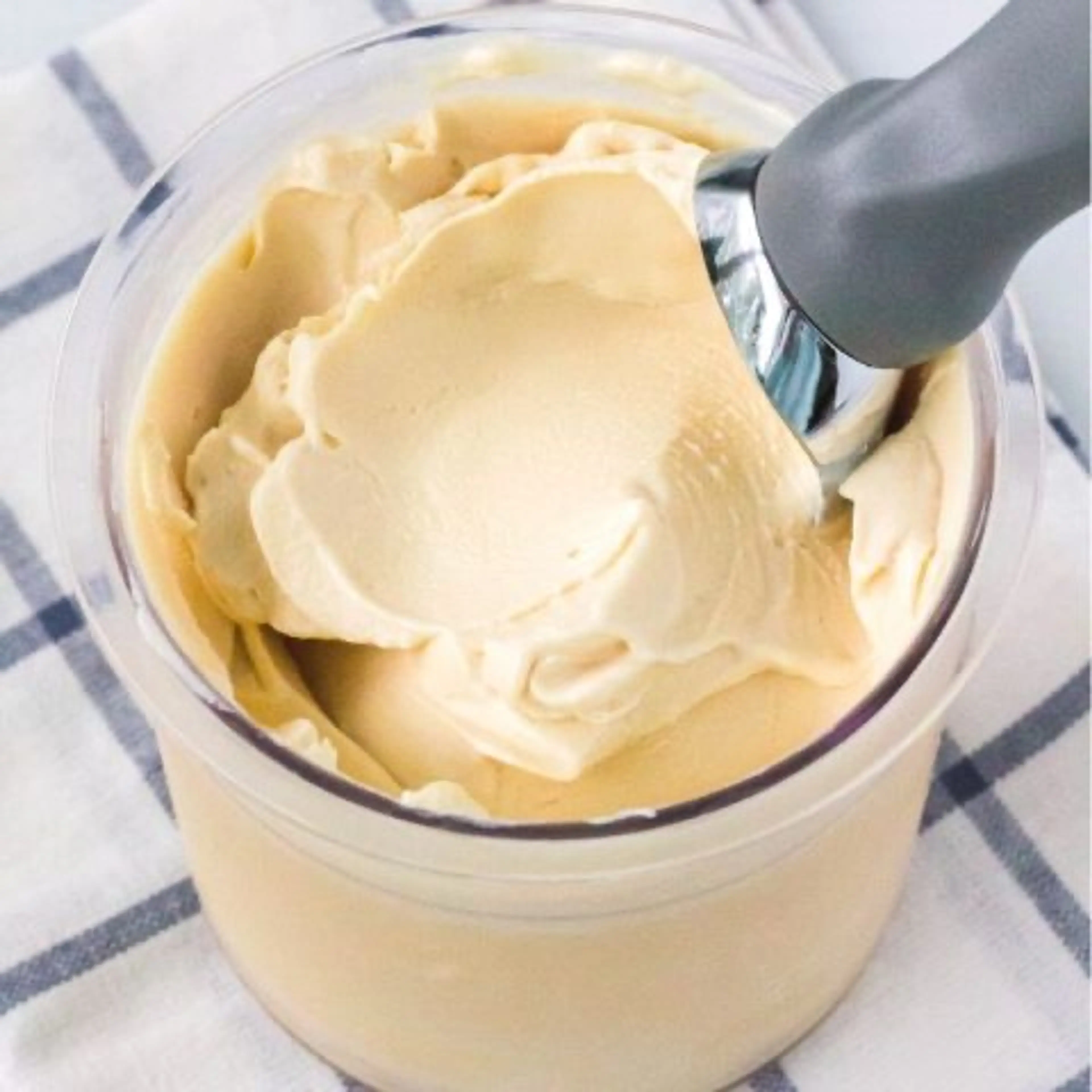 Ninja Creami Peanut Butter Ice Cream