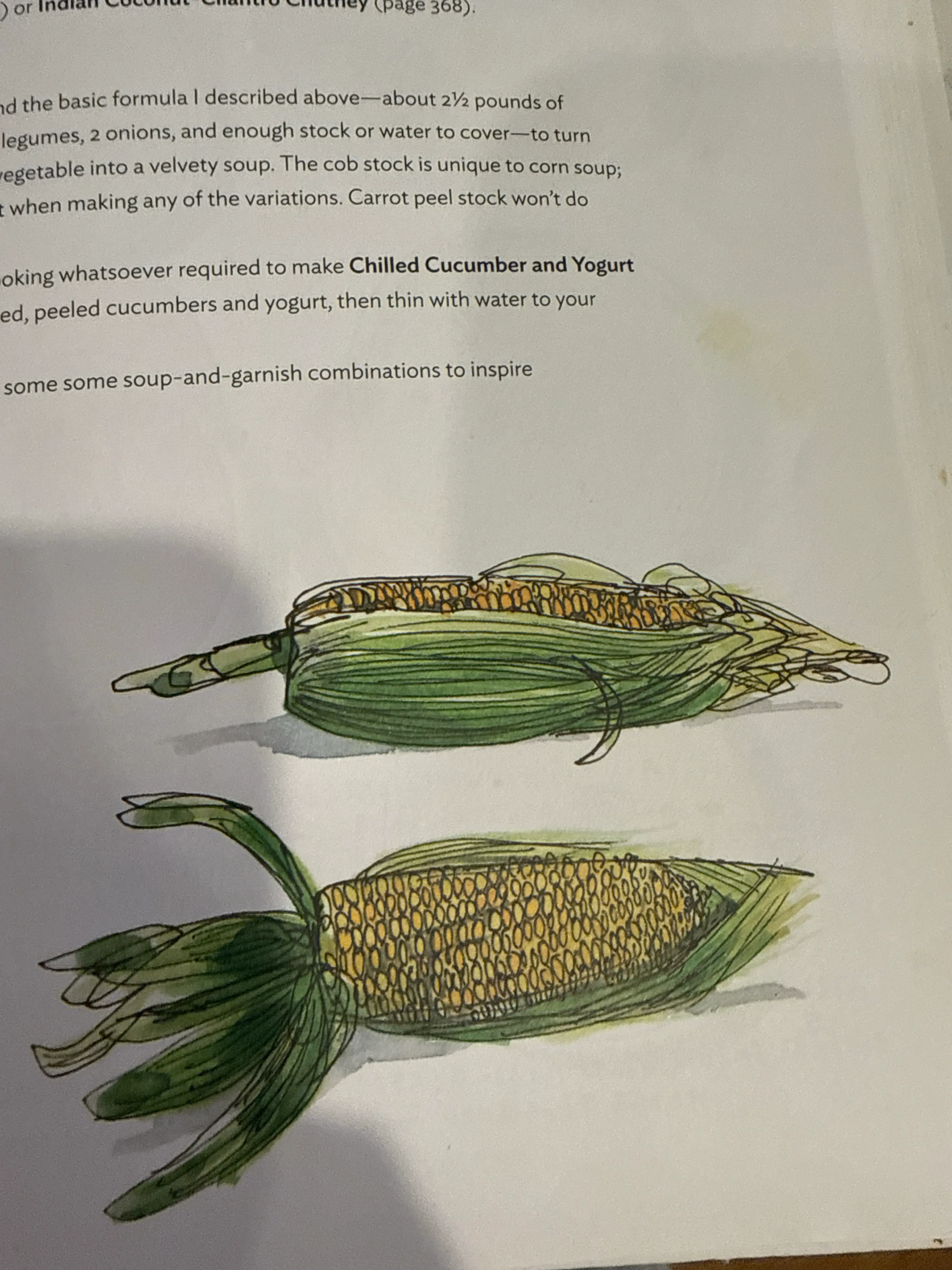 Silky Sweet Corn Soup