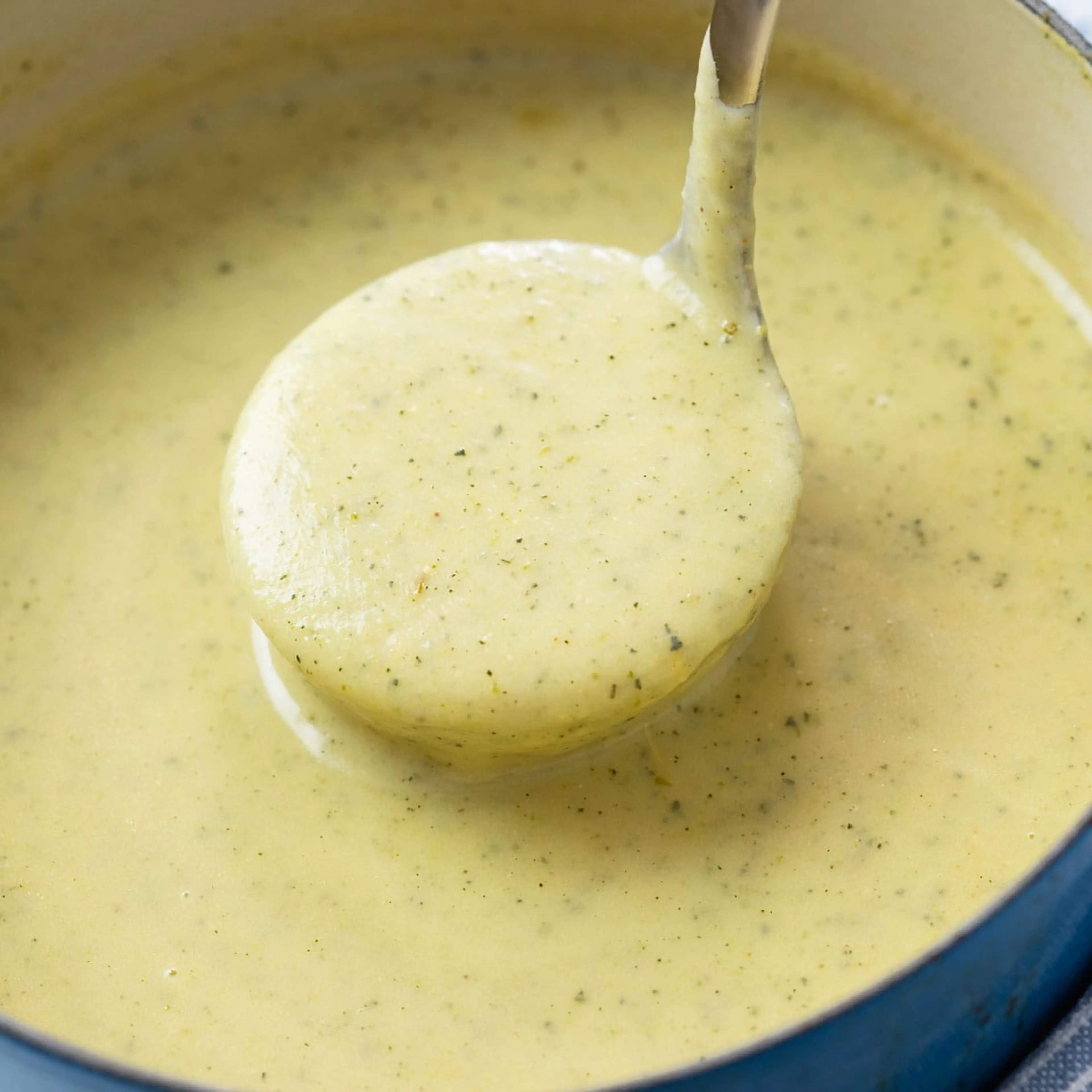 Zucchini Soup
