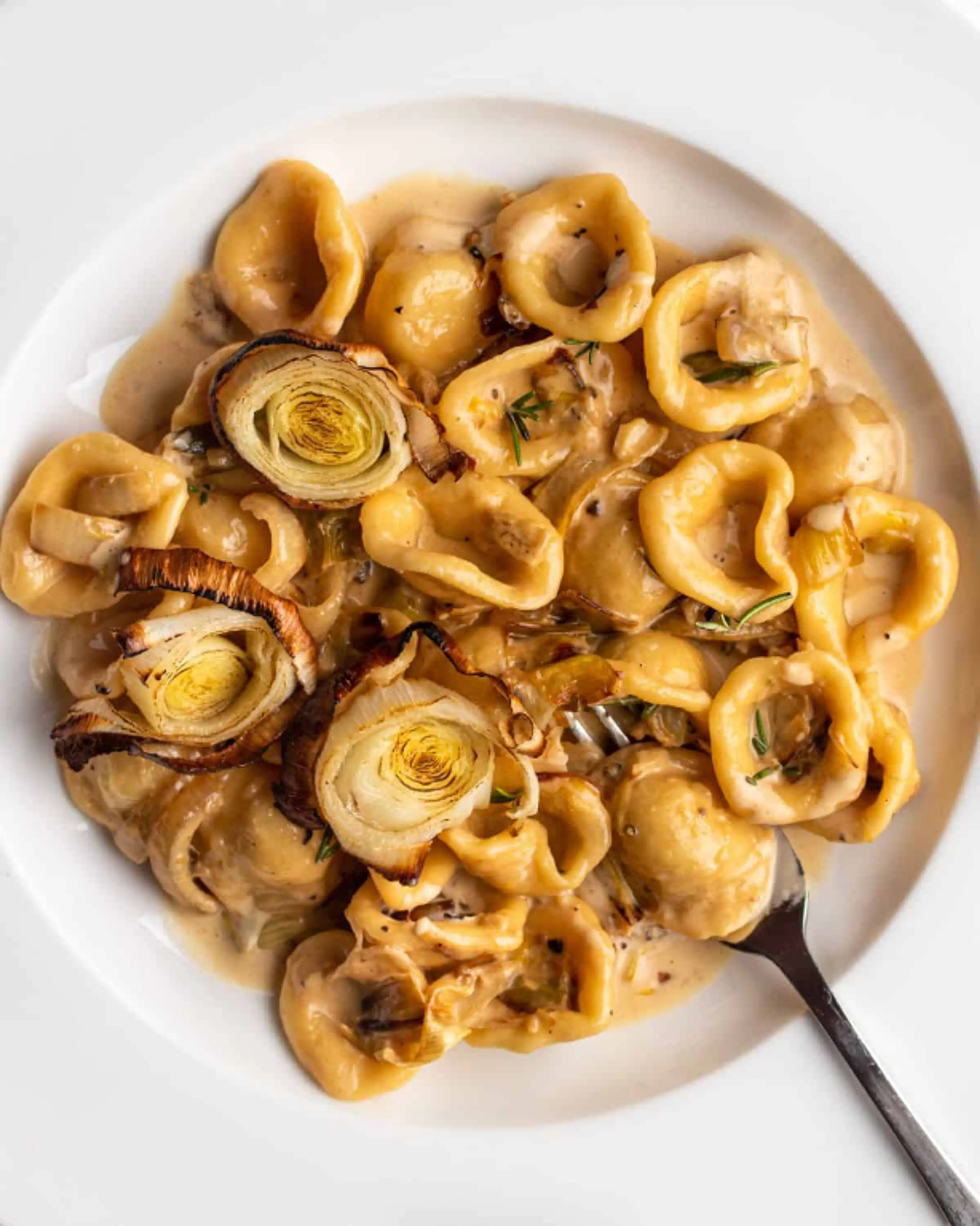 Creamy Caramelized Leek Pasta