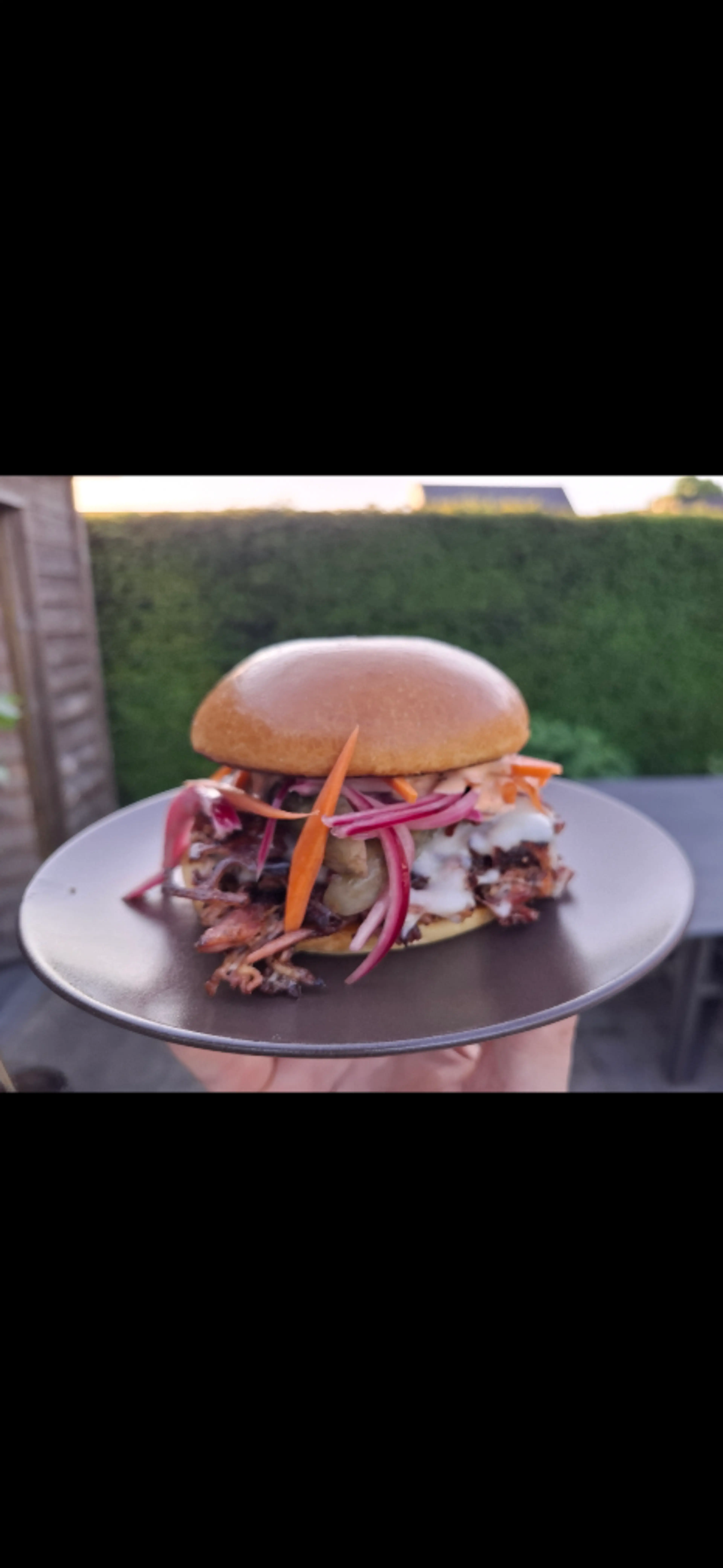 Gourmet Pulled Pork Burgers