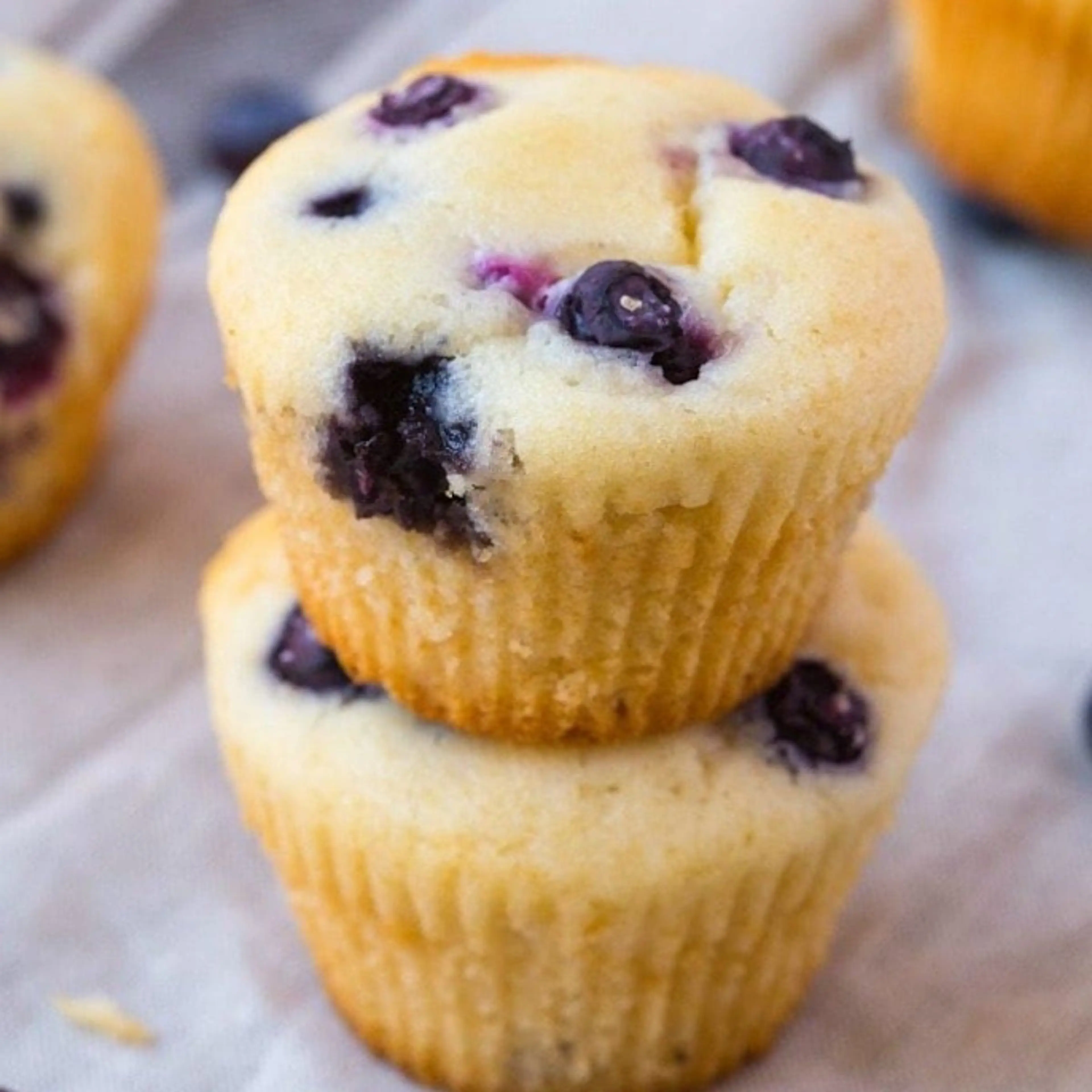 Sugar Free Blueberry Muffins