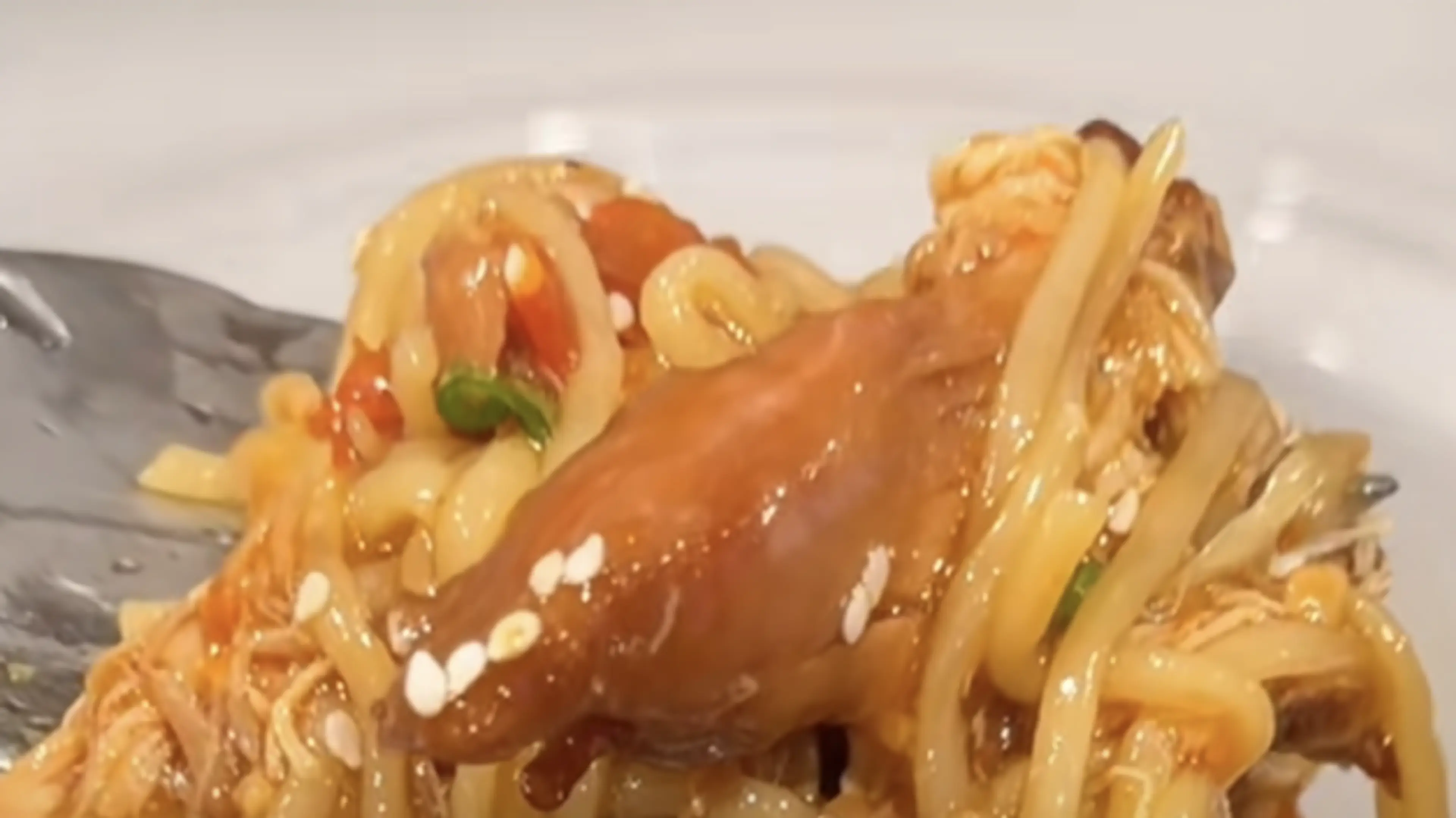 Crockpot Honey Garlic Chicken and Noodles