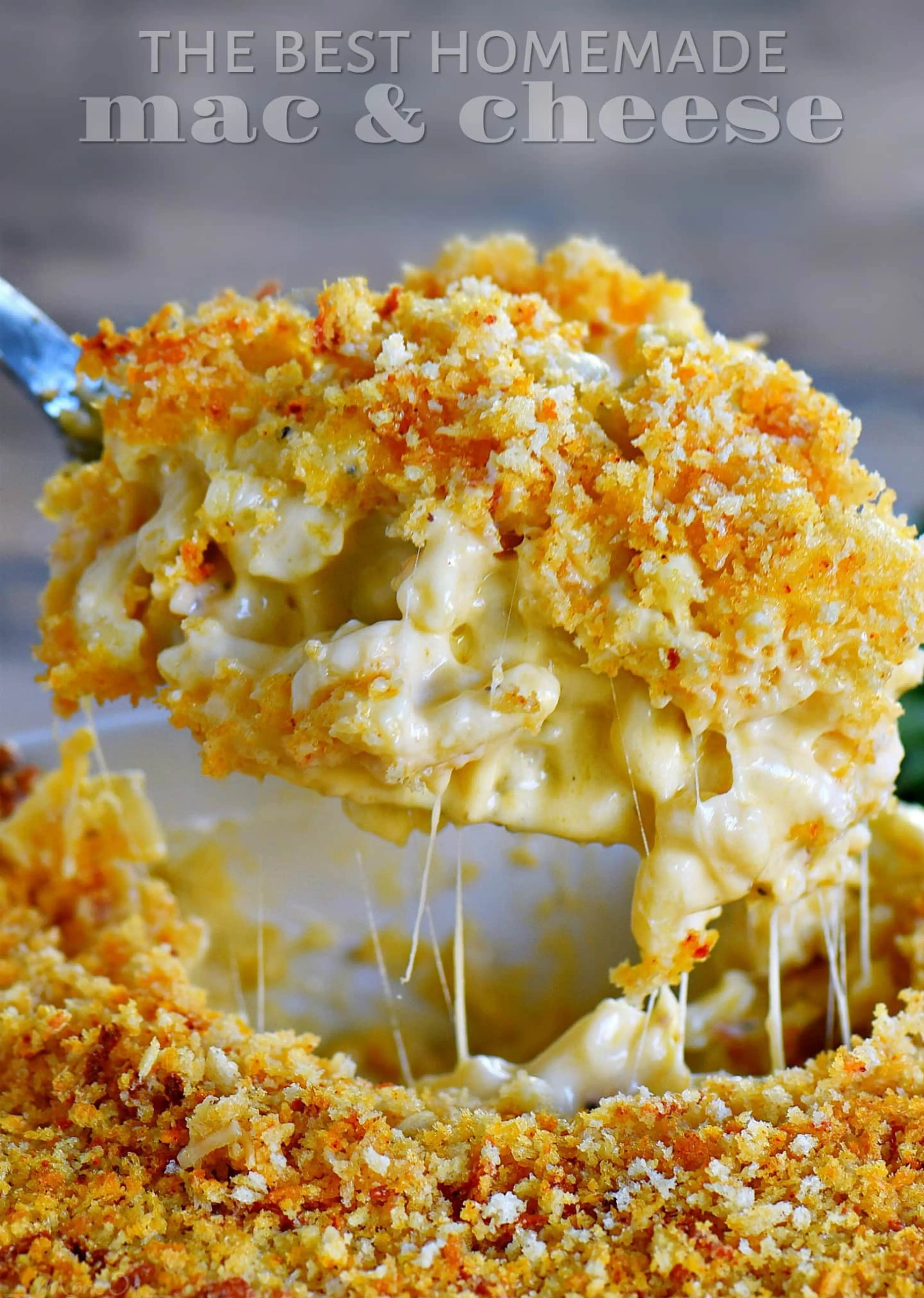 The BEST Homemade Baked Mac and Cheese