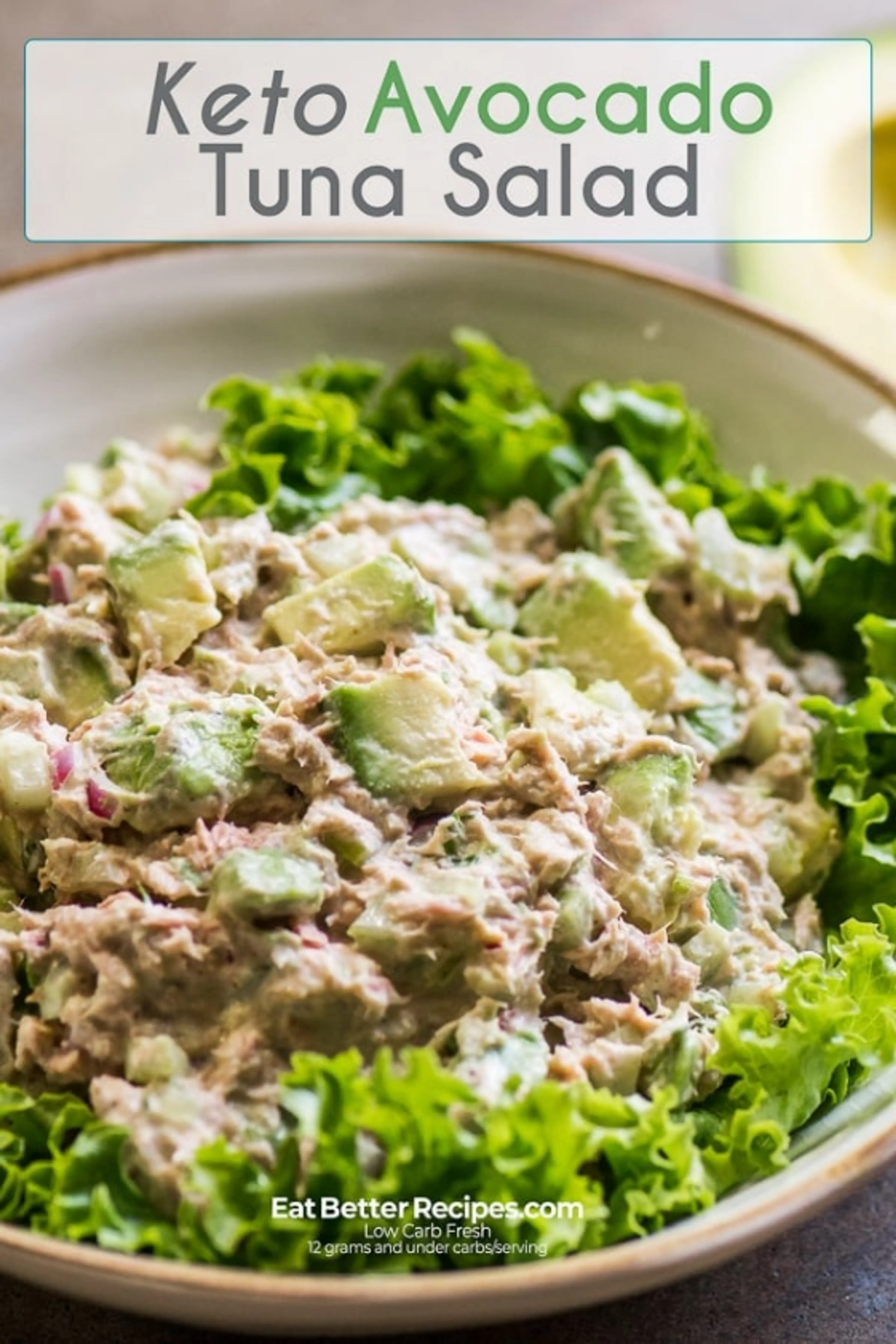 Keto & Low Carb Avocado Tuna Salad