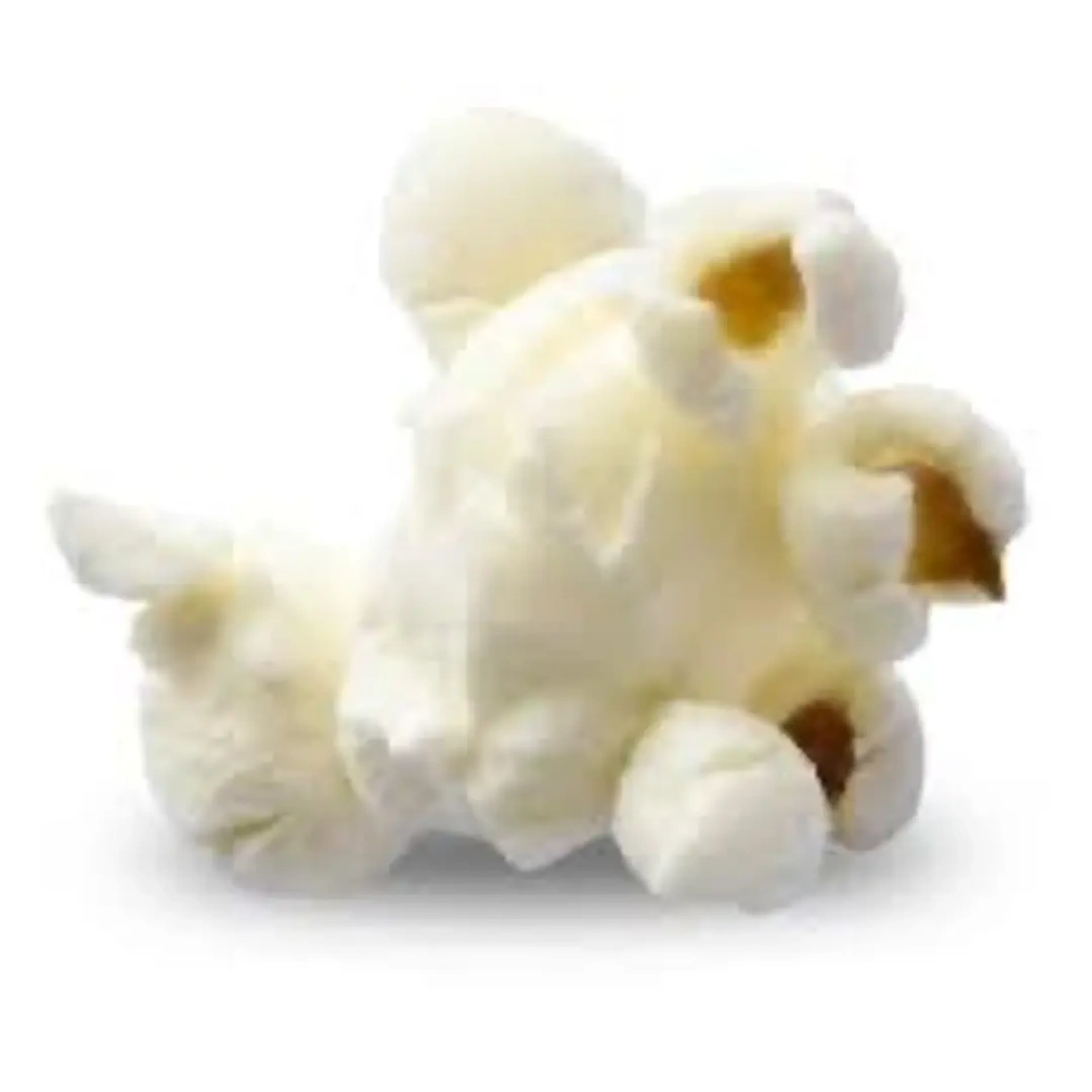 Popcorn Topping: Honey Brown Butter