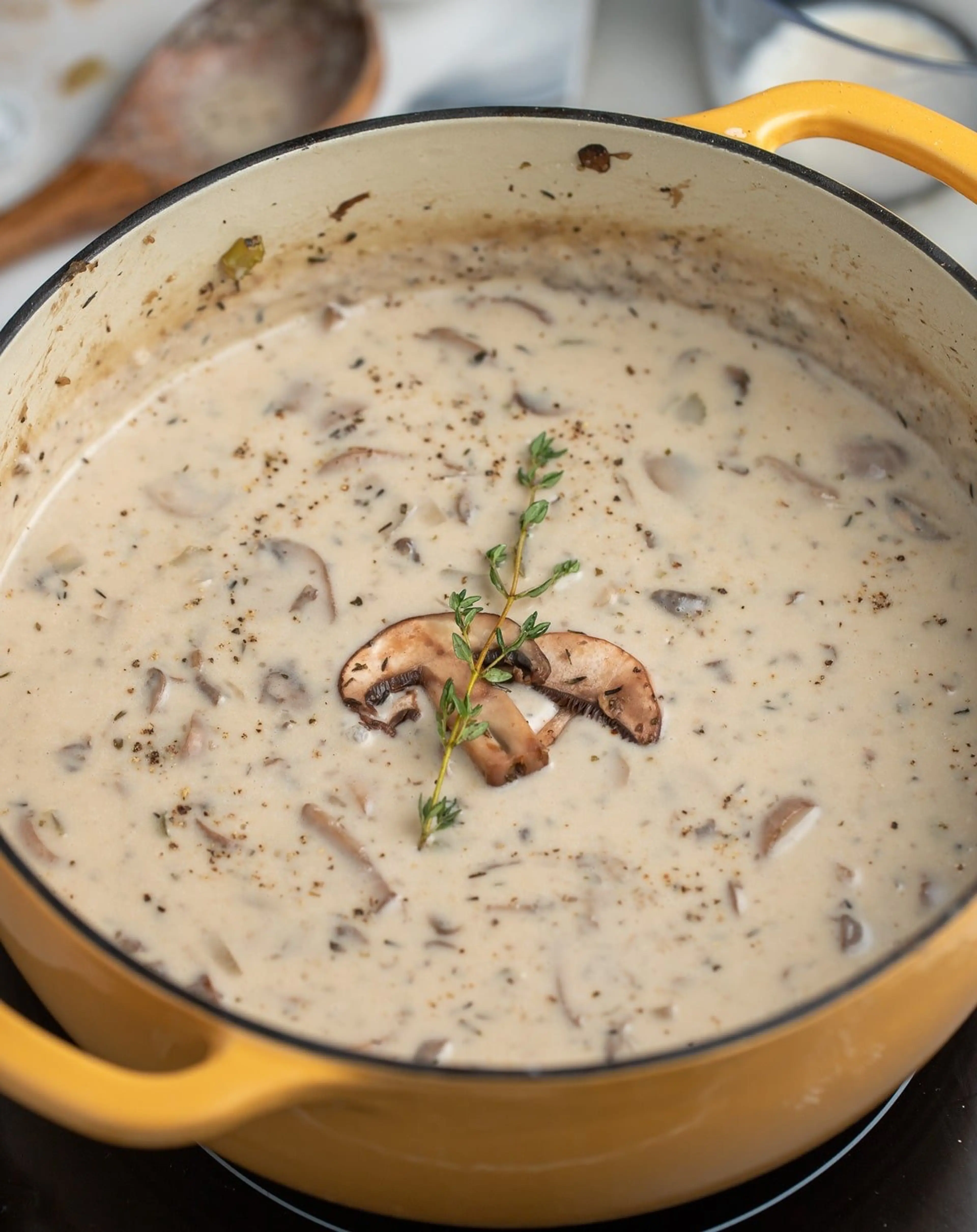 Cream of Mushroom Soup