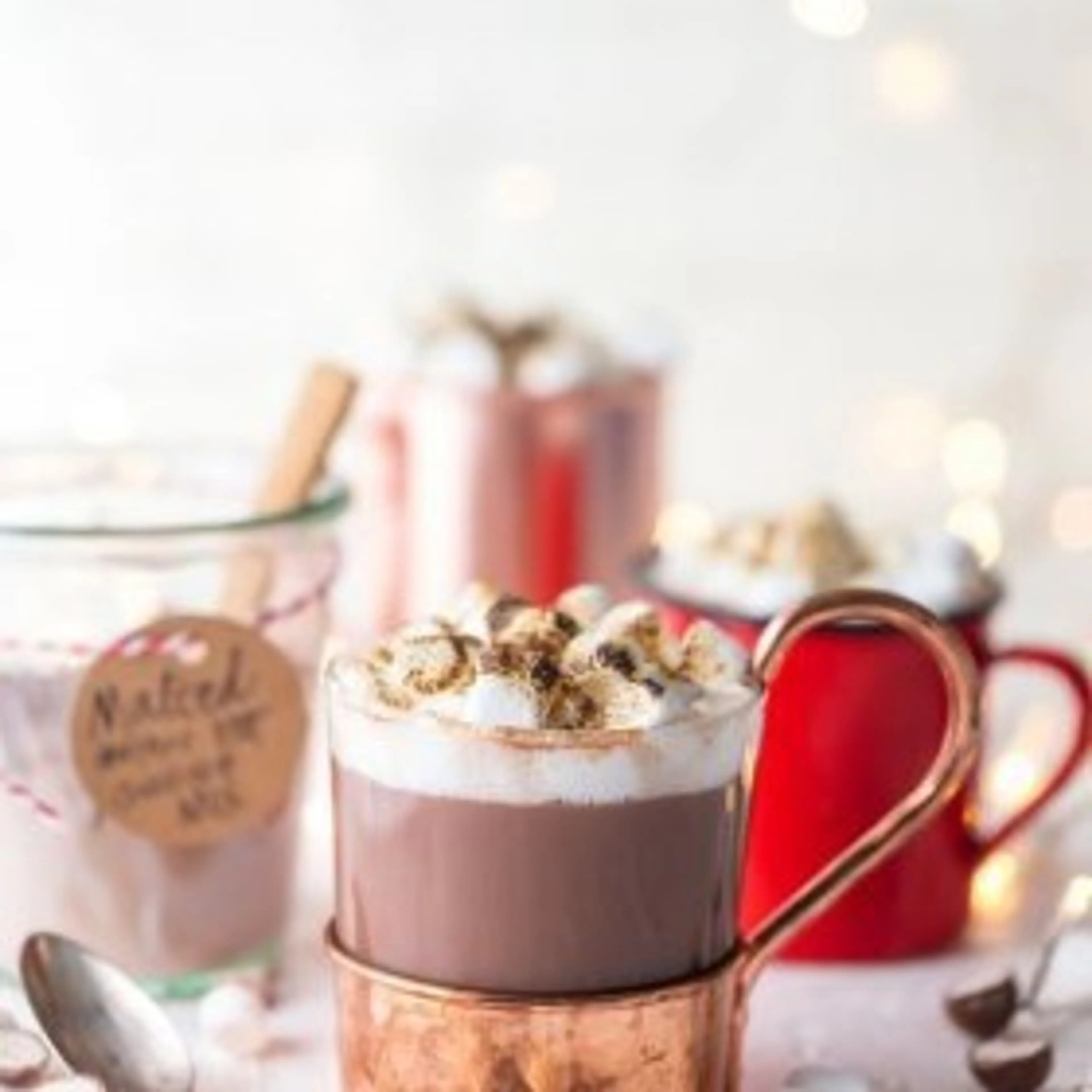 Malted Hot Chocolate Mix