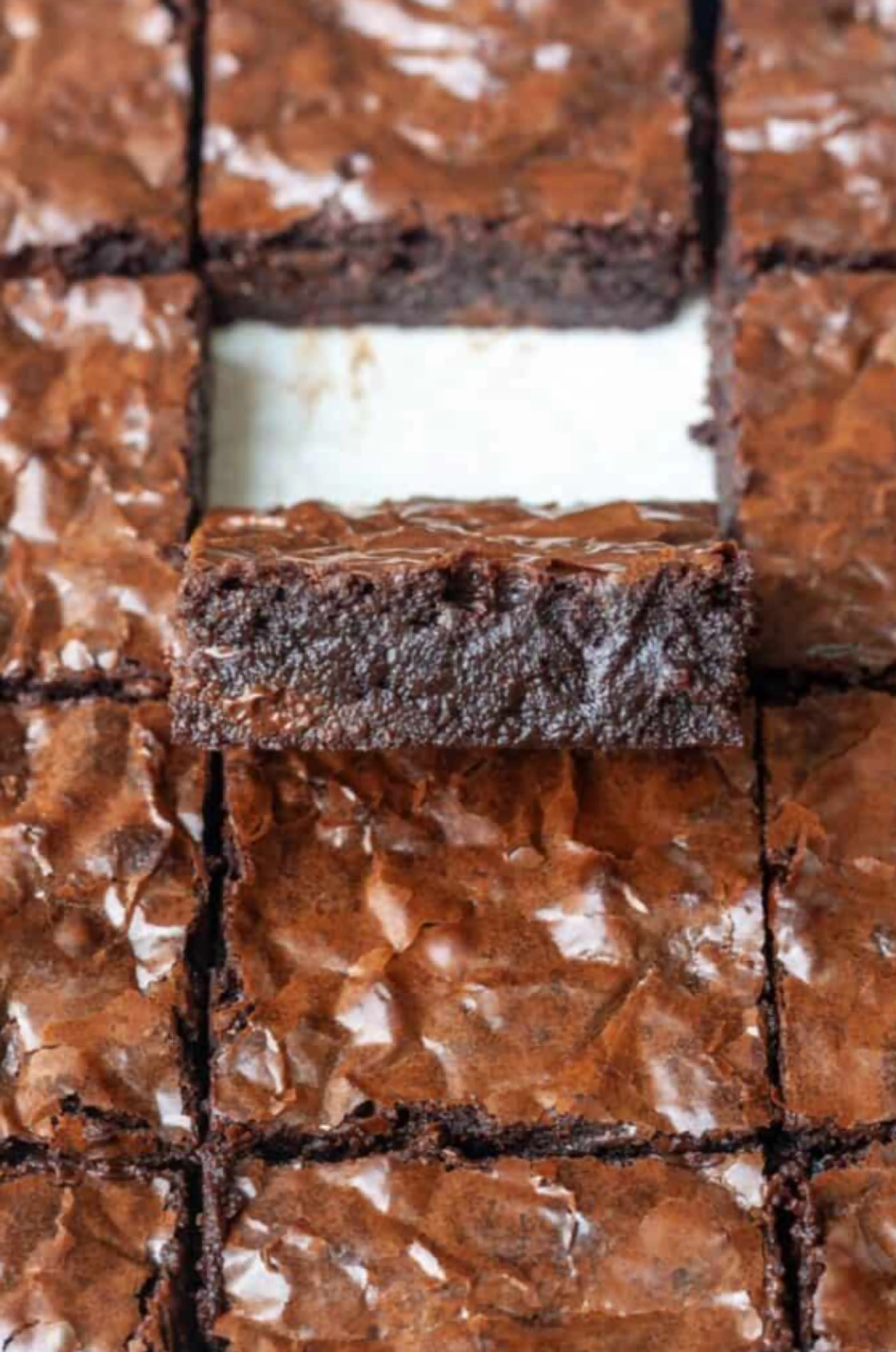 The Best Brownies