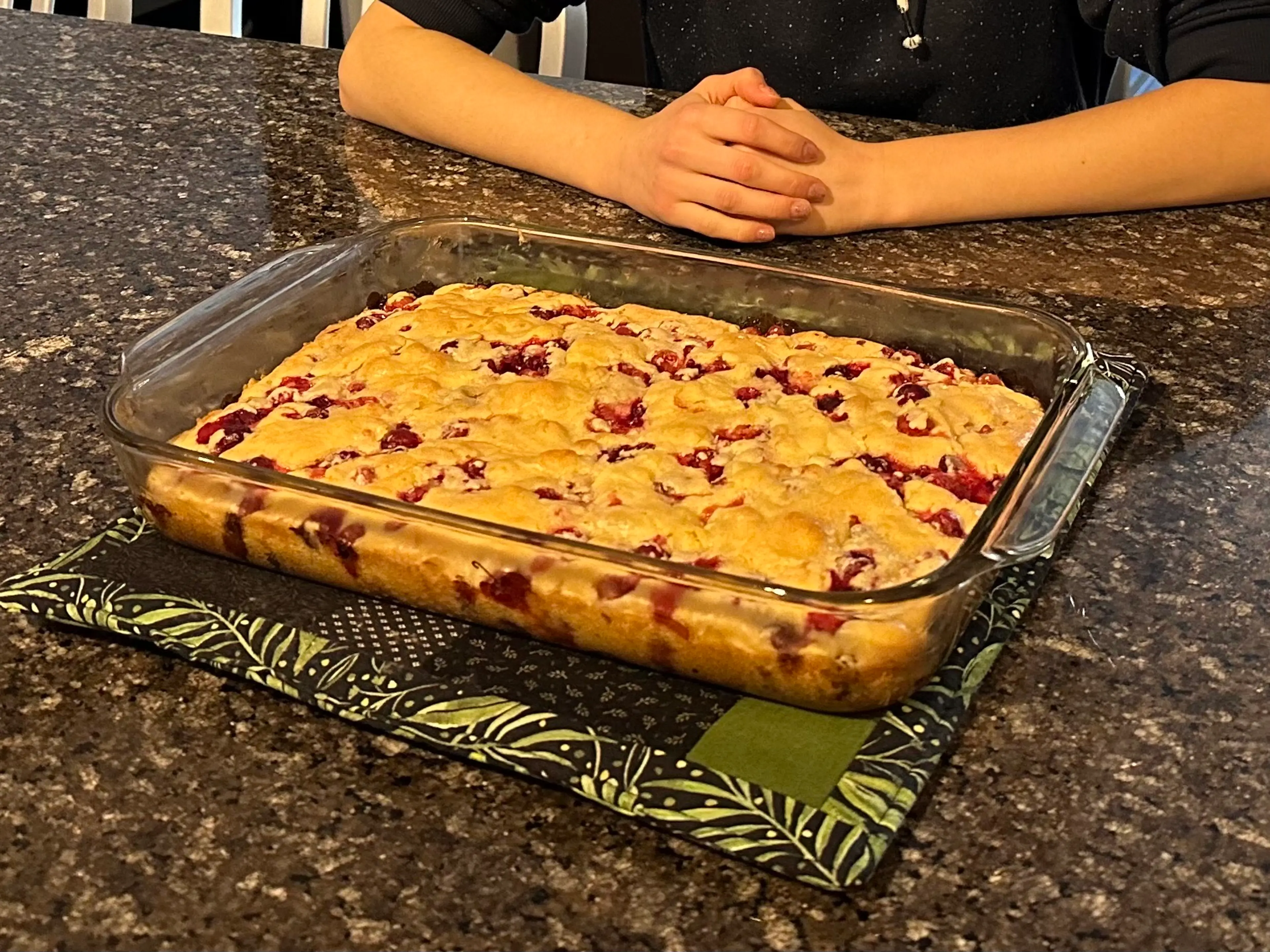 Cranberry Christmas Cake