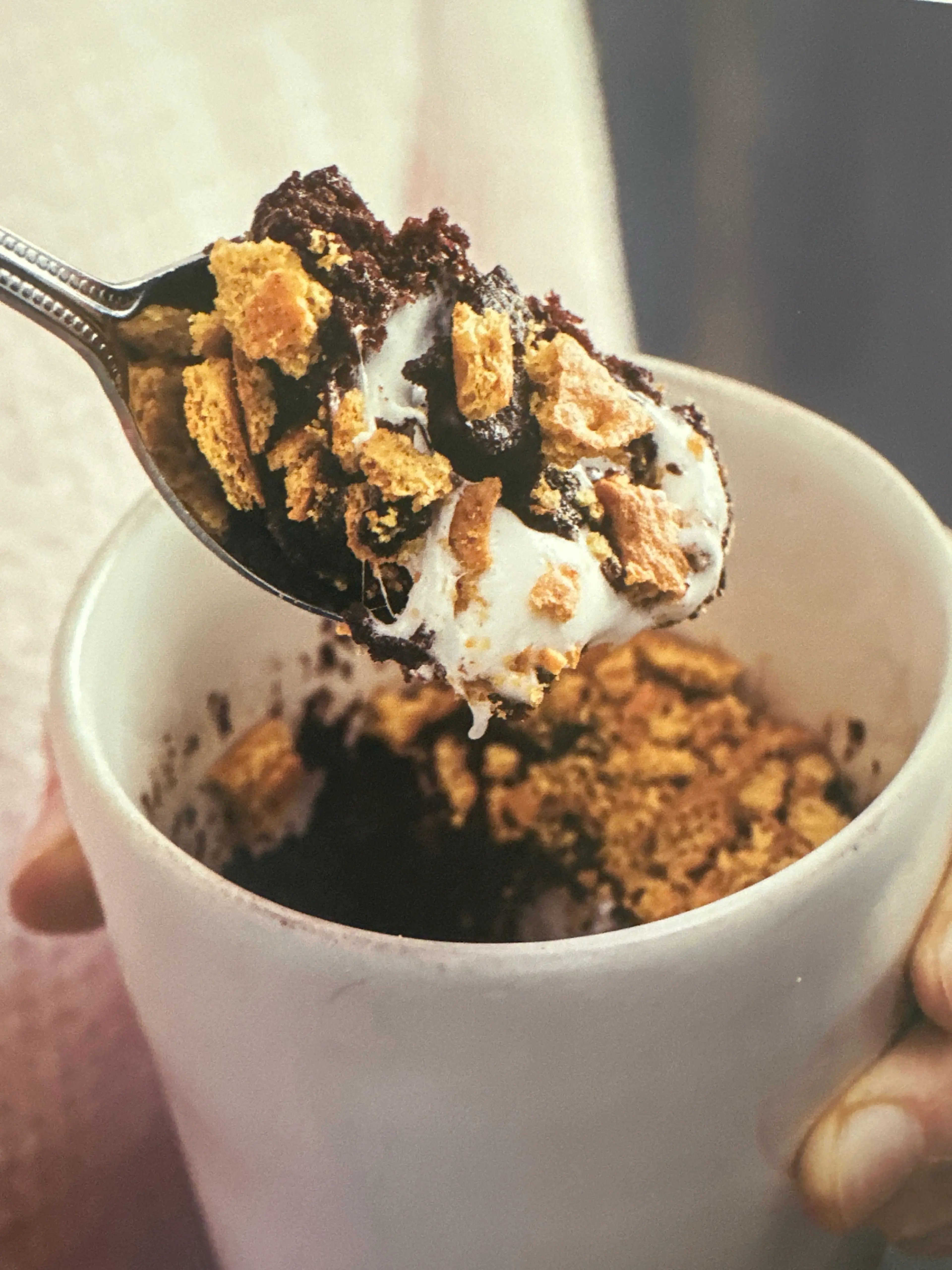 s'mores mug cake