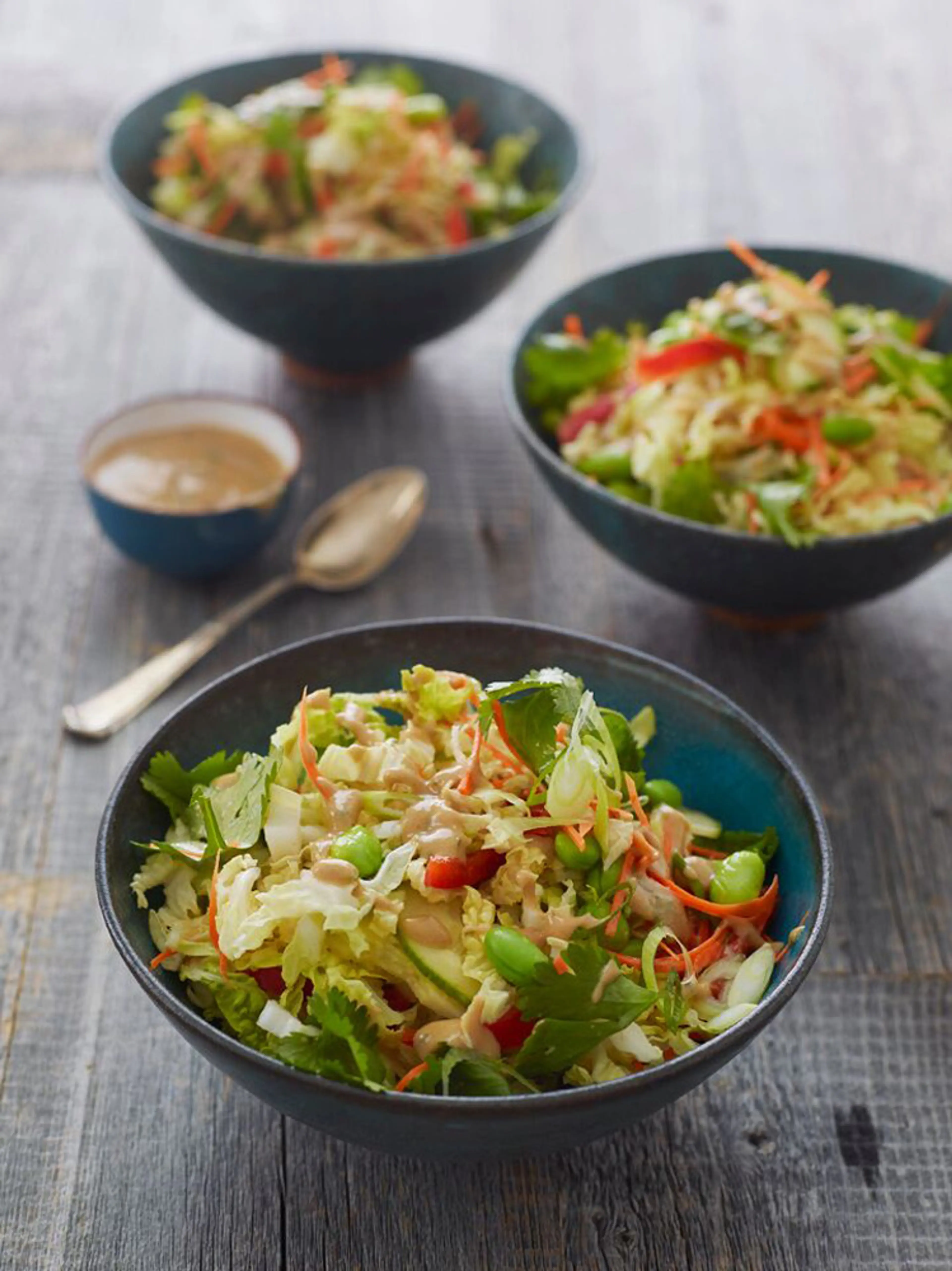 Thai Crunch Salad with Peanut Dressing