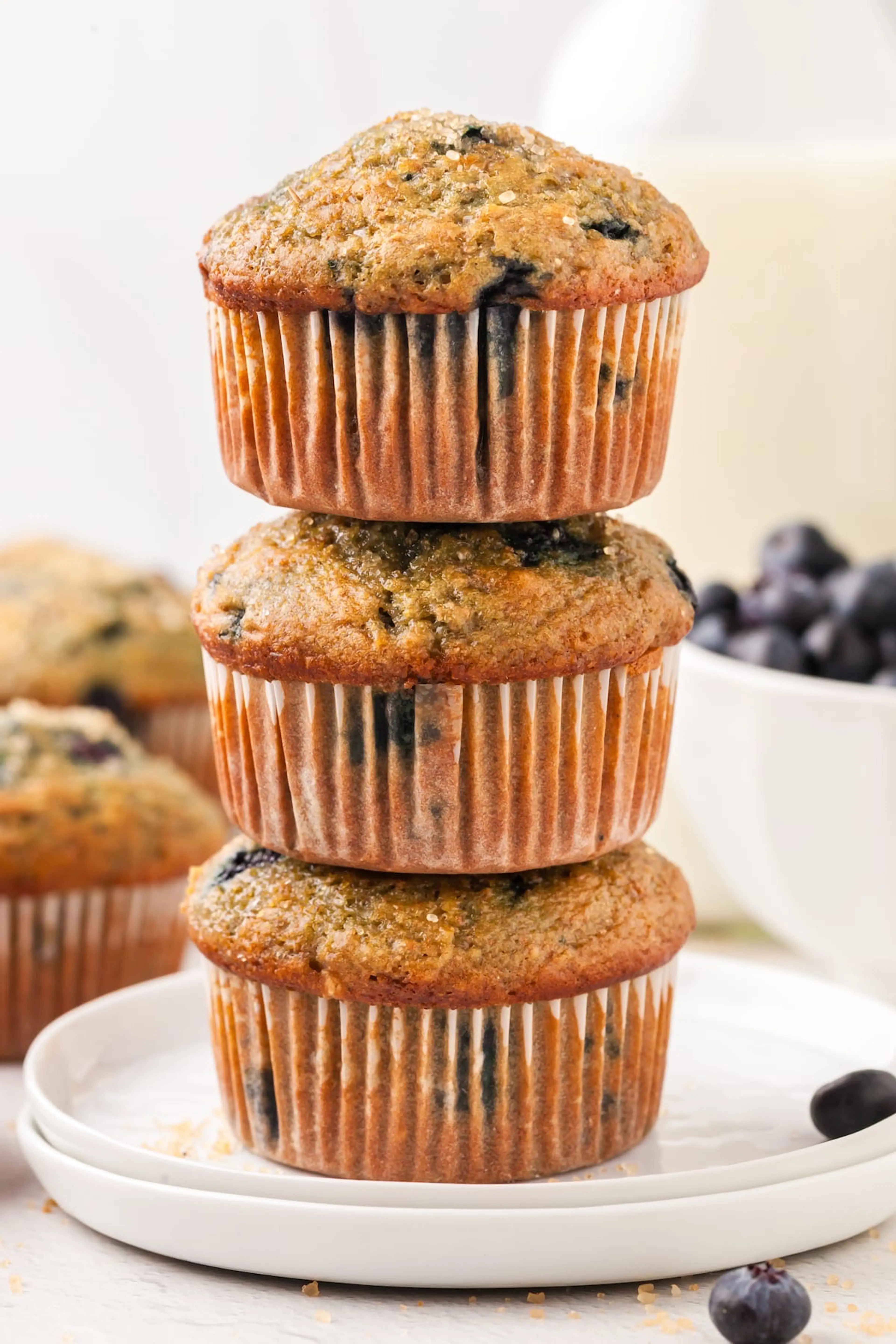 Blueberry Yogurt Muffins