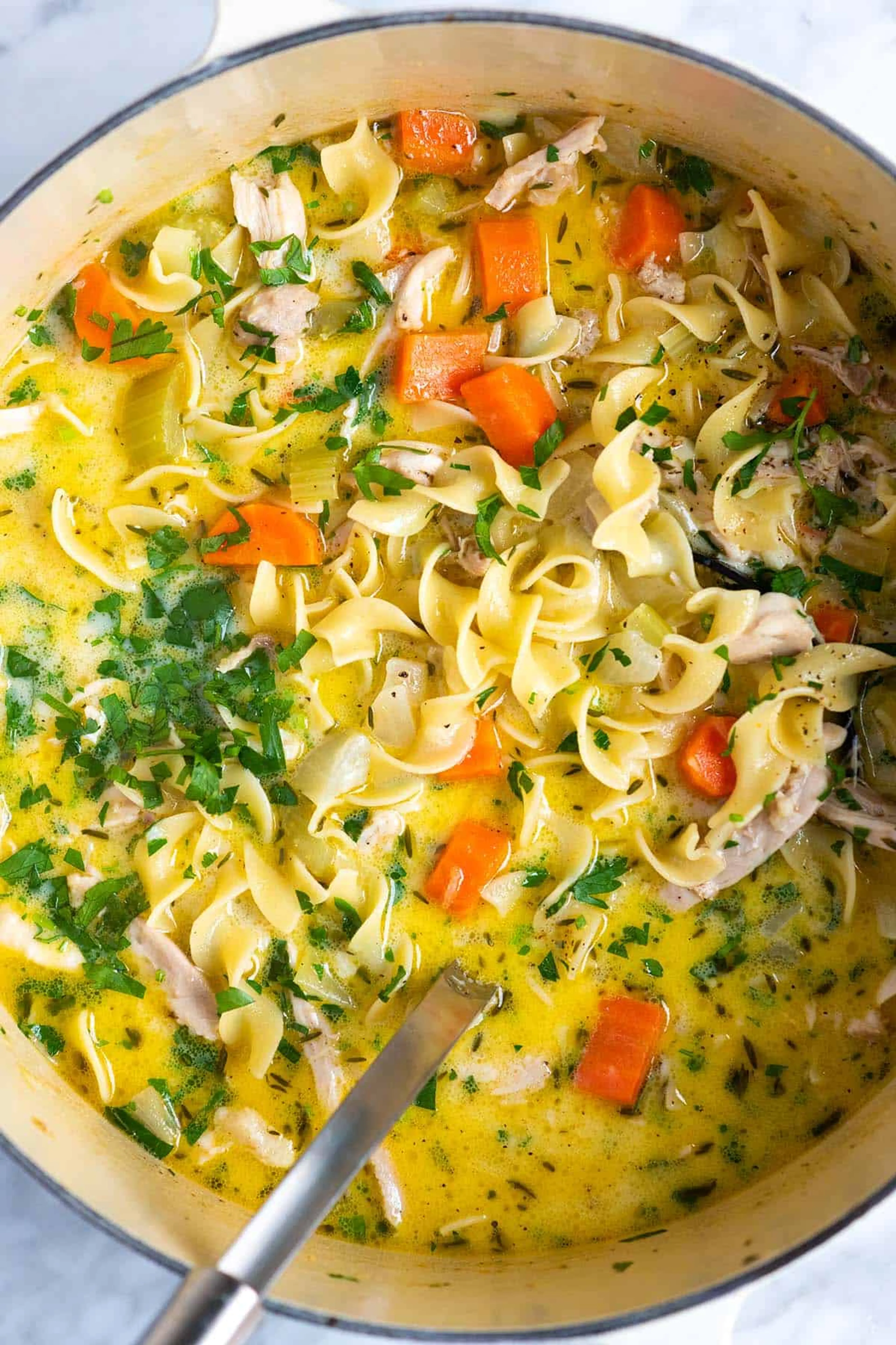 Chicken Noodle Soup