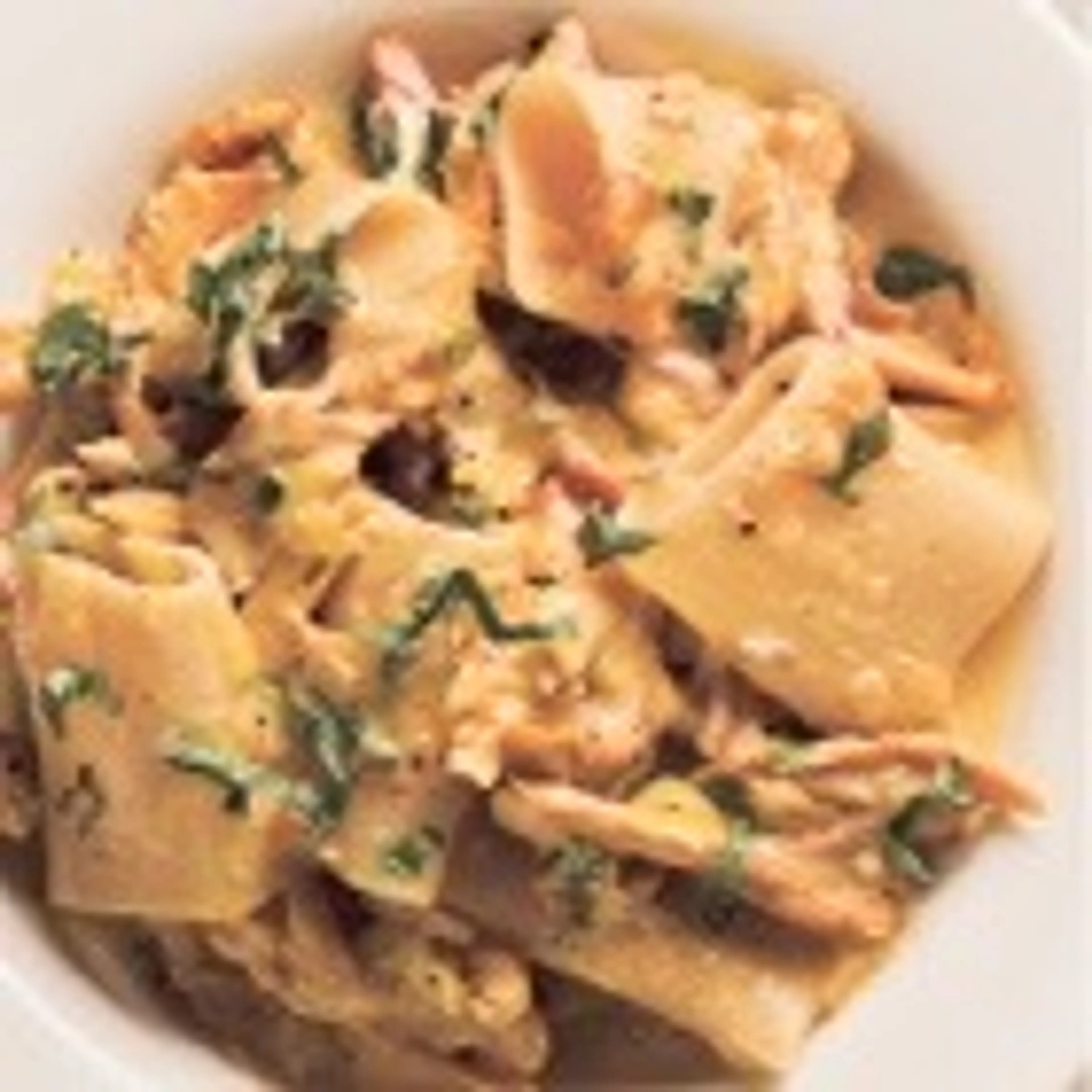 Paccheri Pasta with Braised Chicken and Saffron Cream