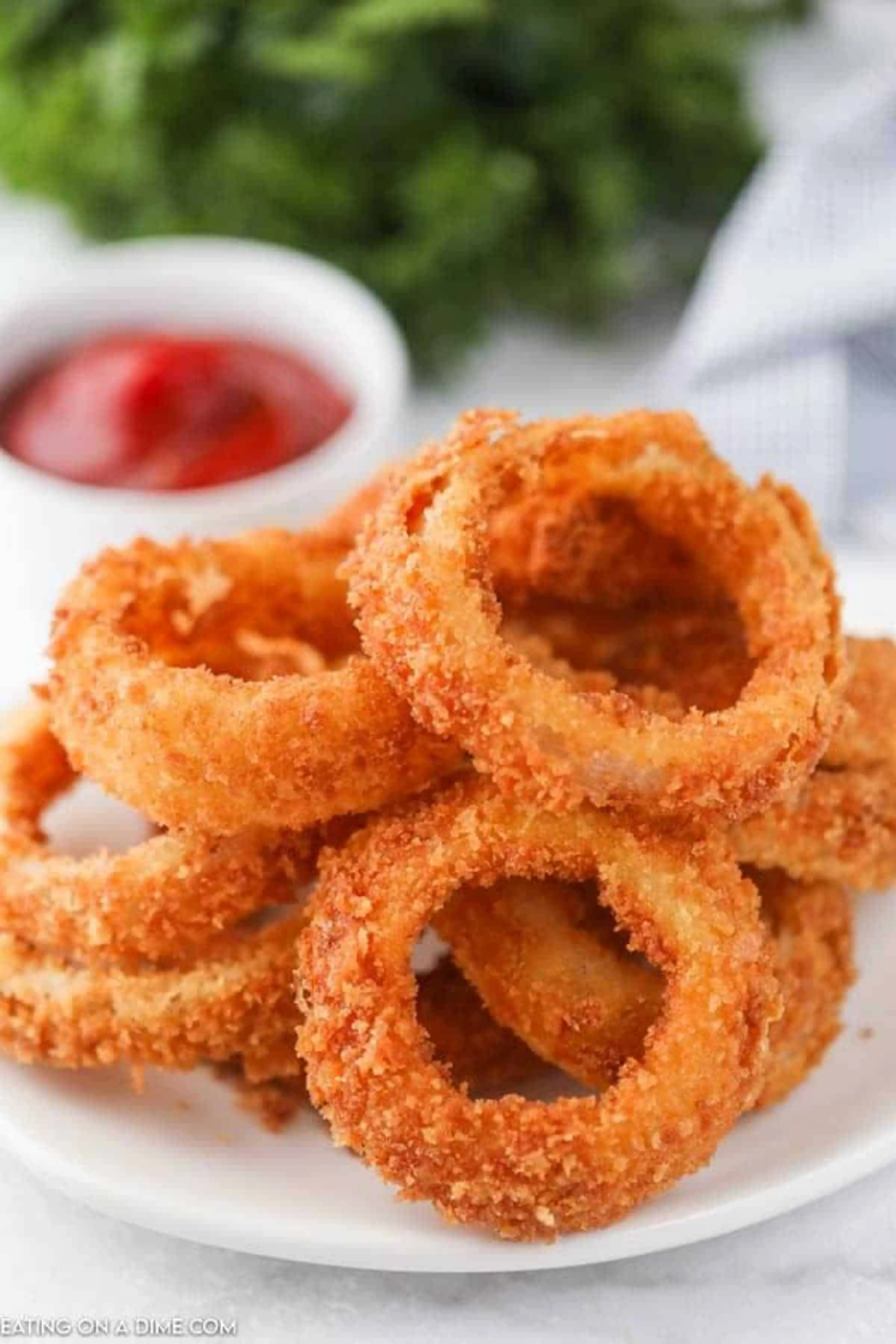 Noelle's Onion Rings (Cajun Twins)
