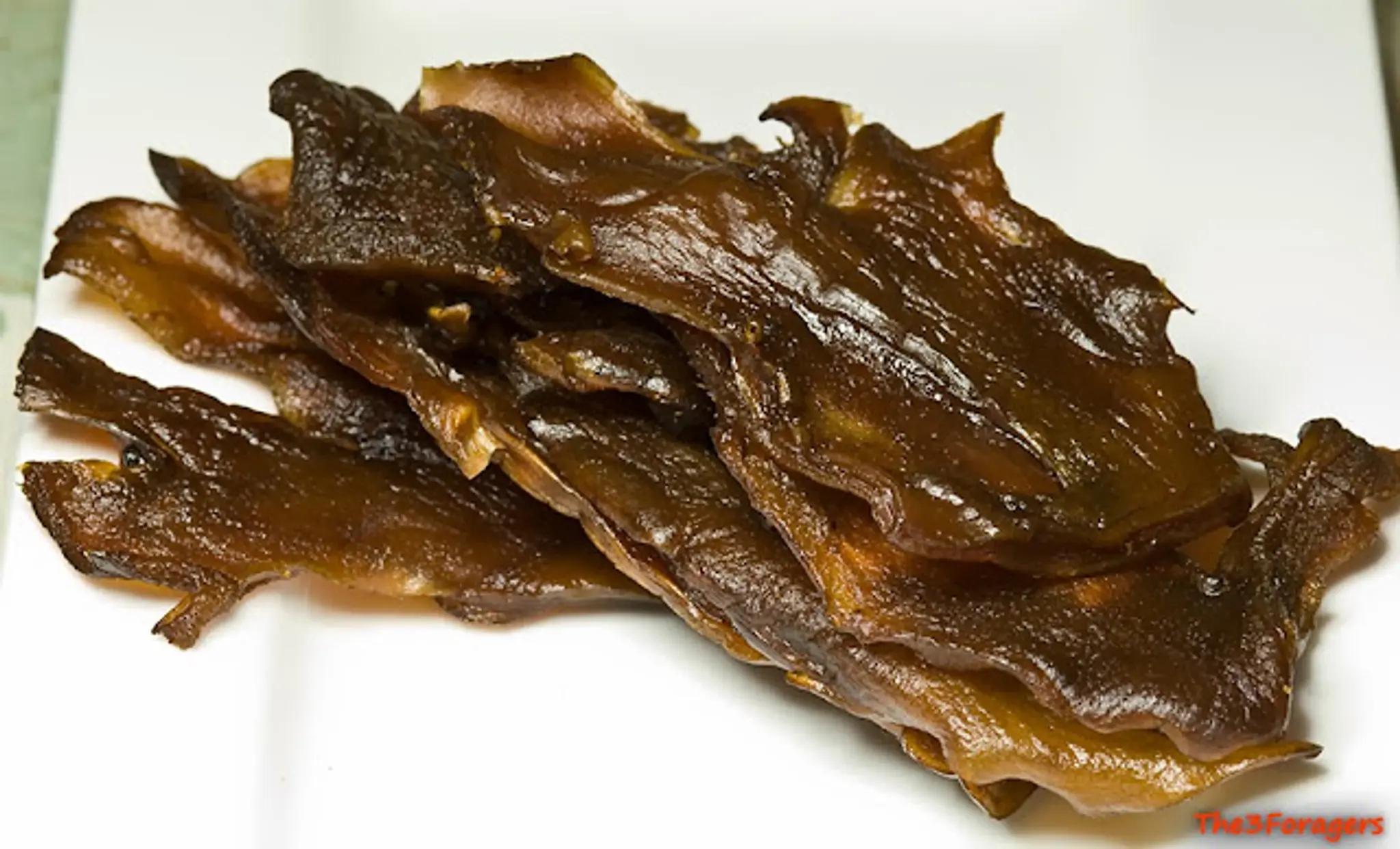 Maitake Mushroom Jerky
