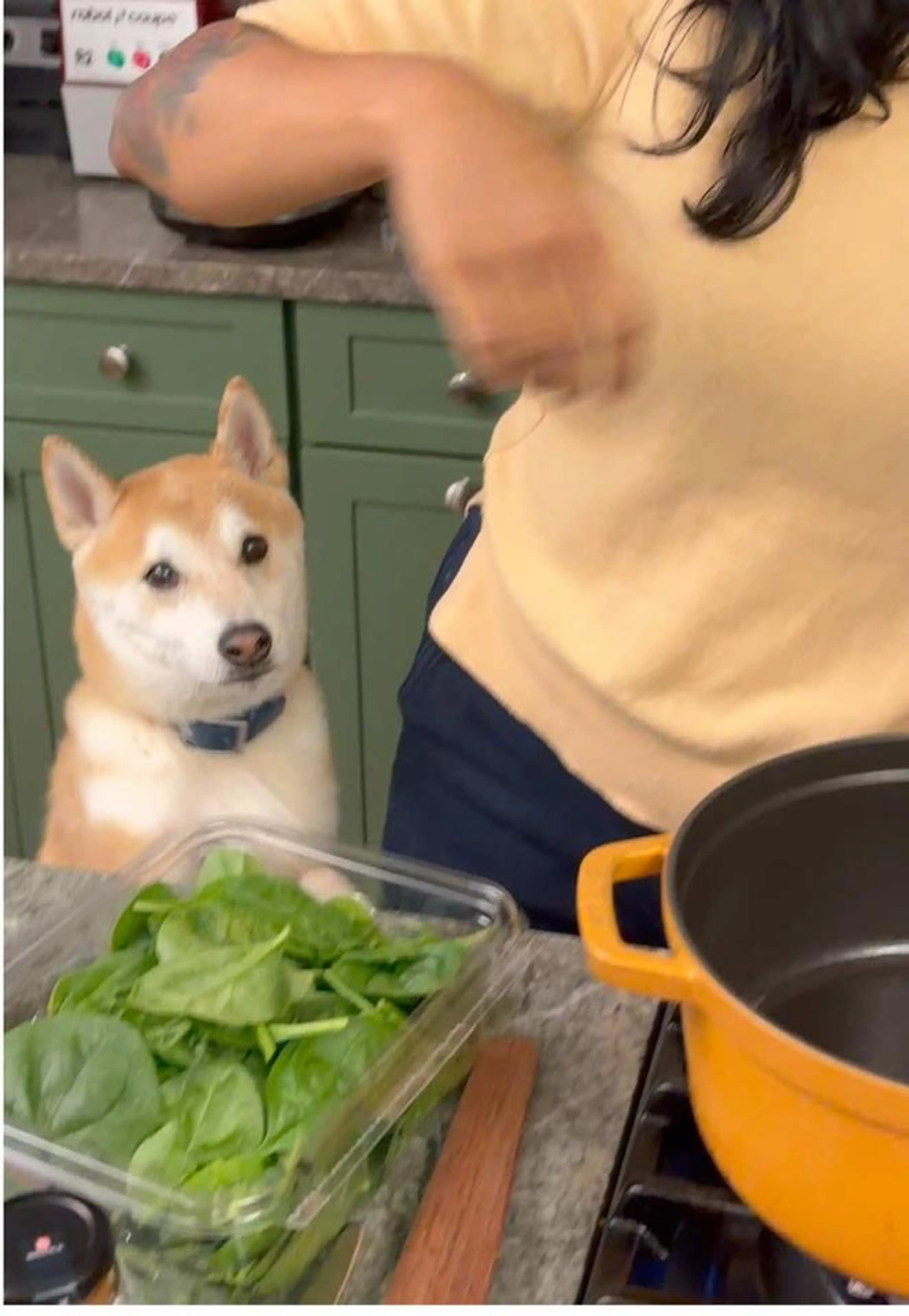 Any Ground Meat Coconut Curry for Tired, Hungry, Busy People