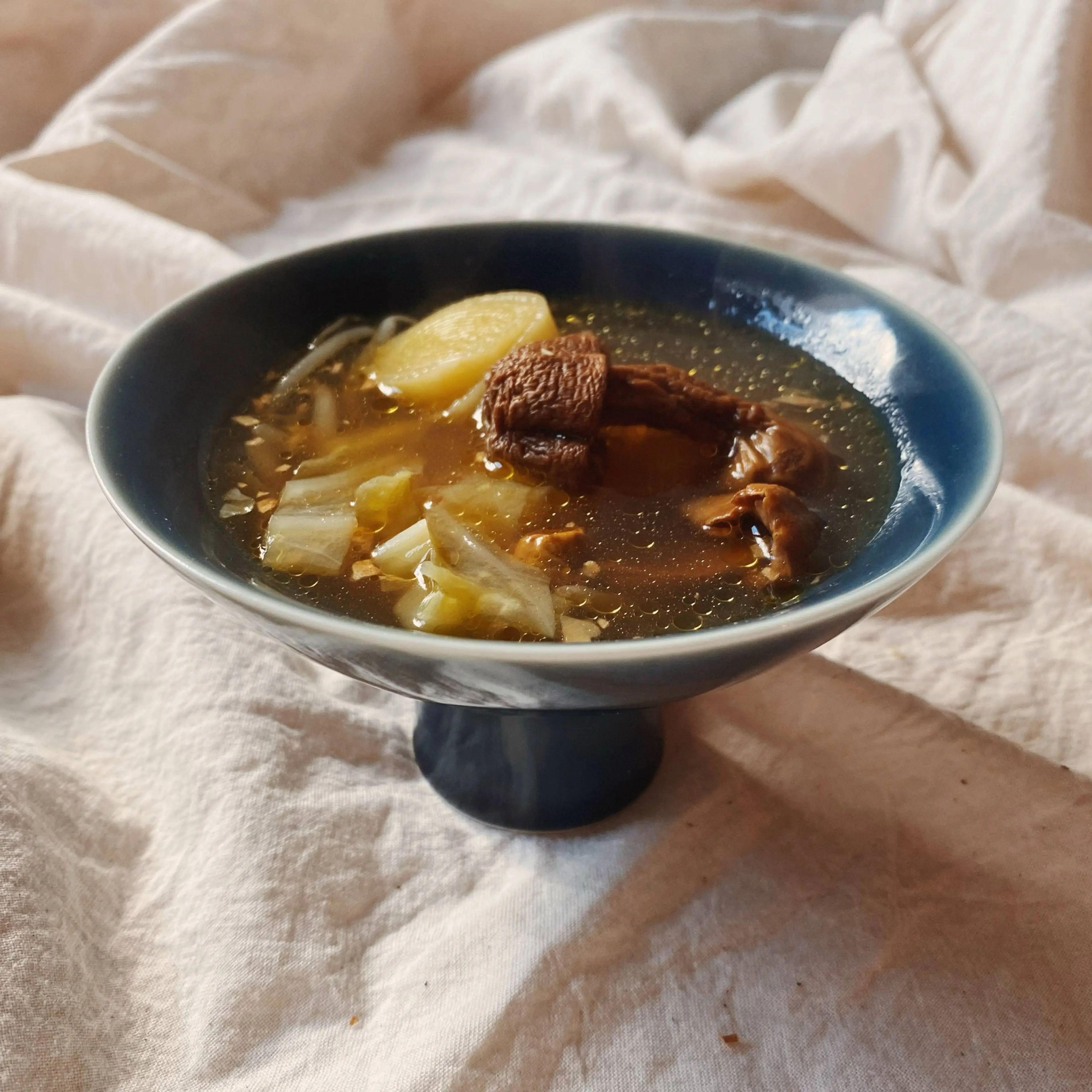 DETOXIFYING AGARICUS MUSHROOM SOUP